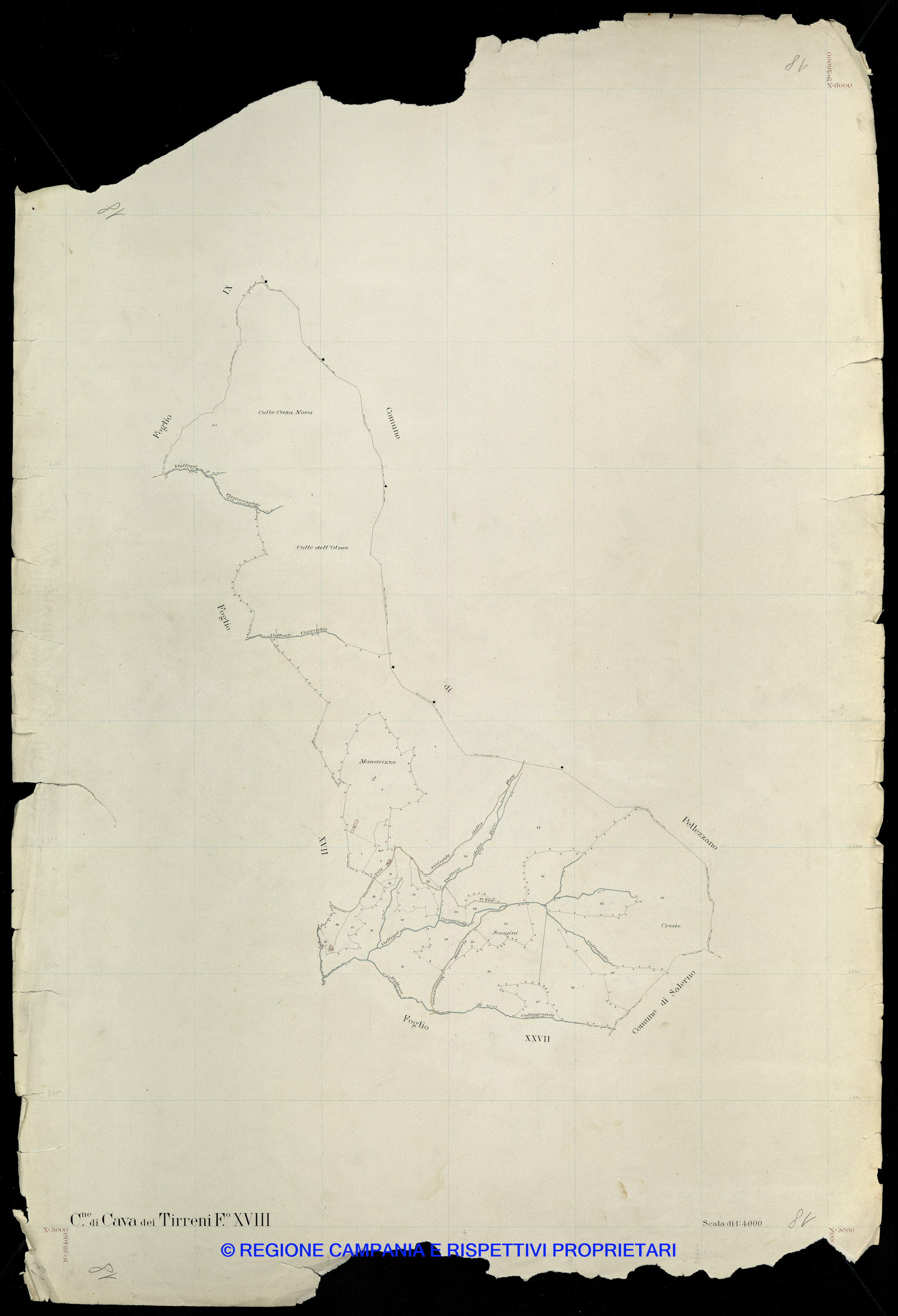 Mappa