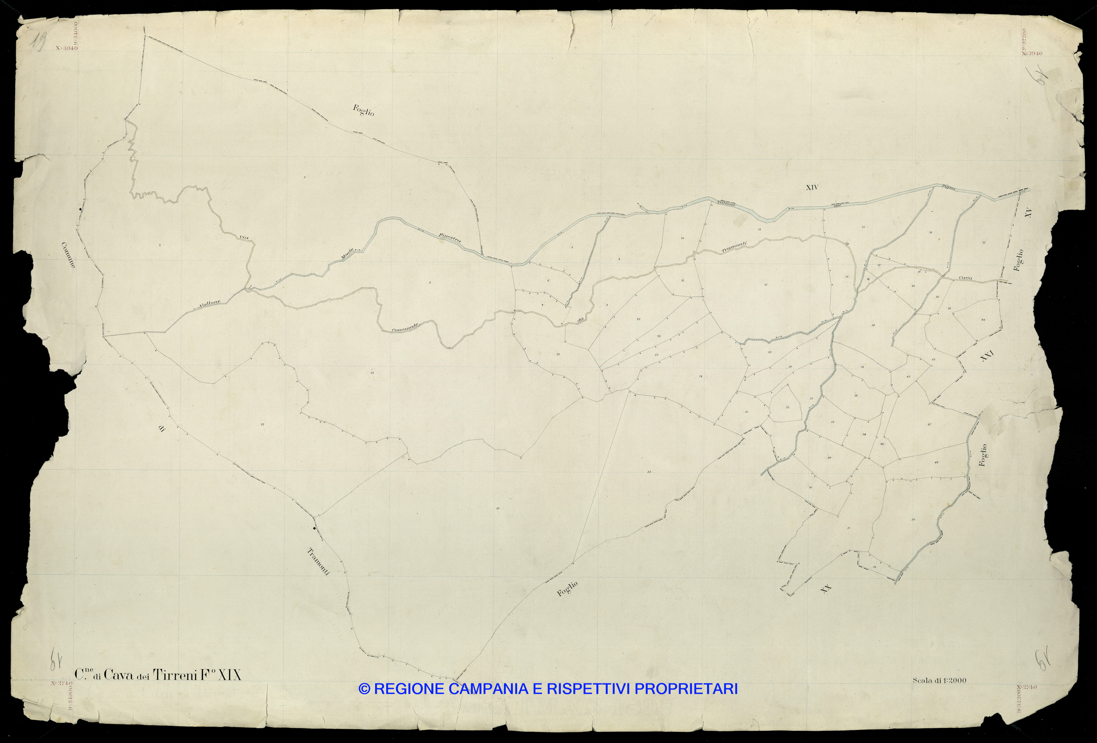Mappa