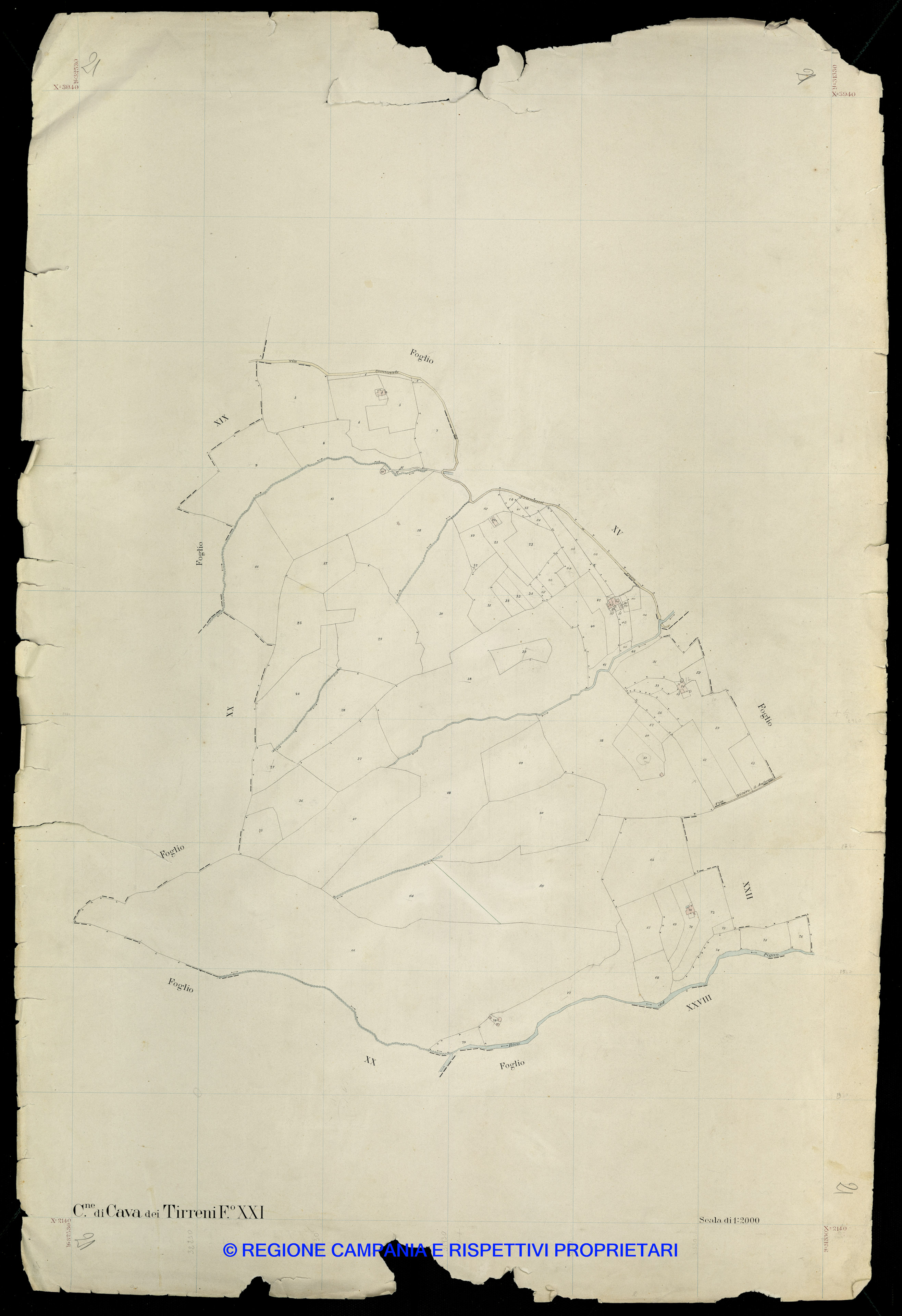 Mappa