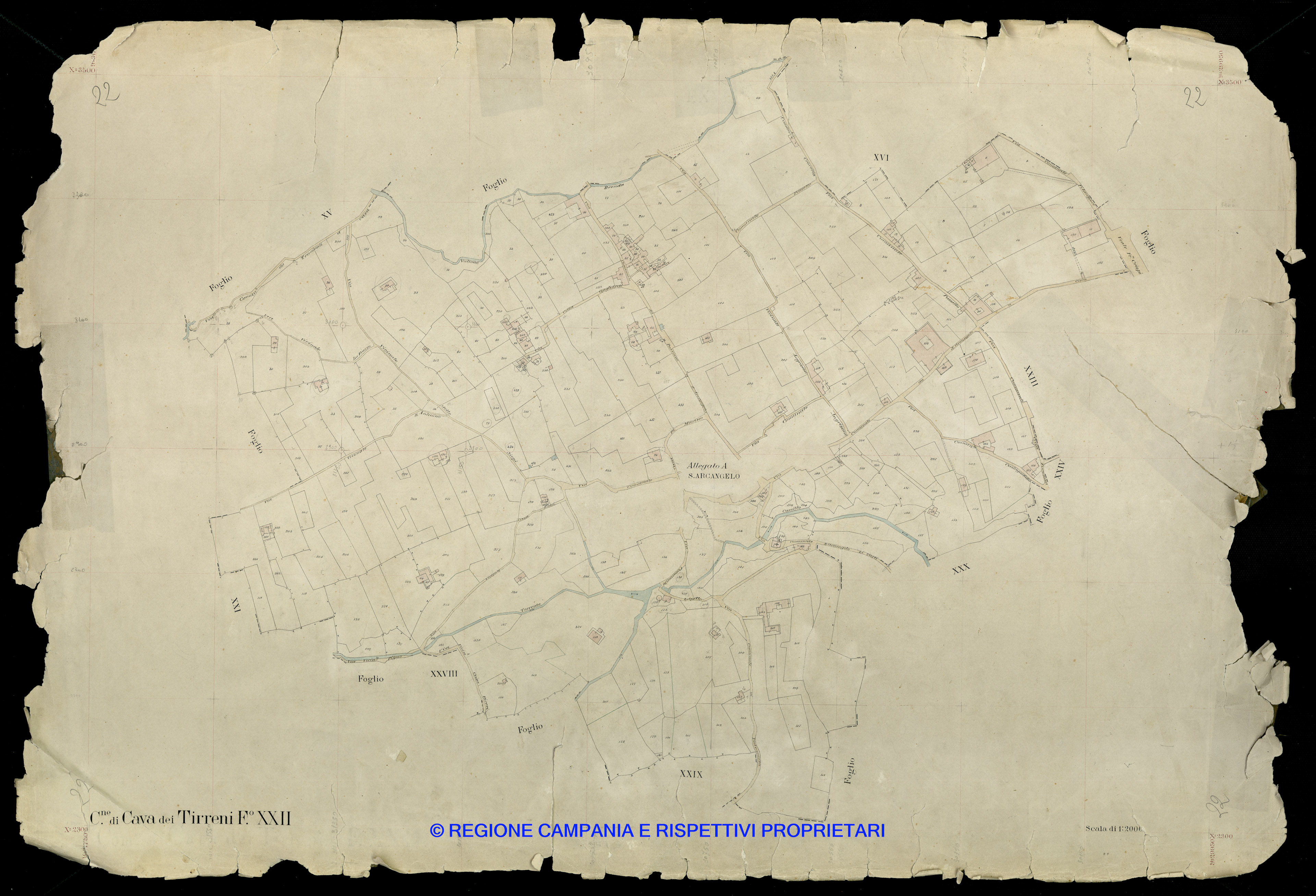 Mappa