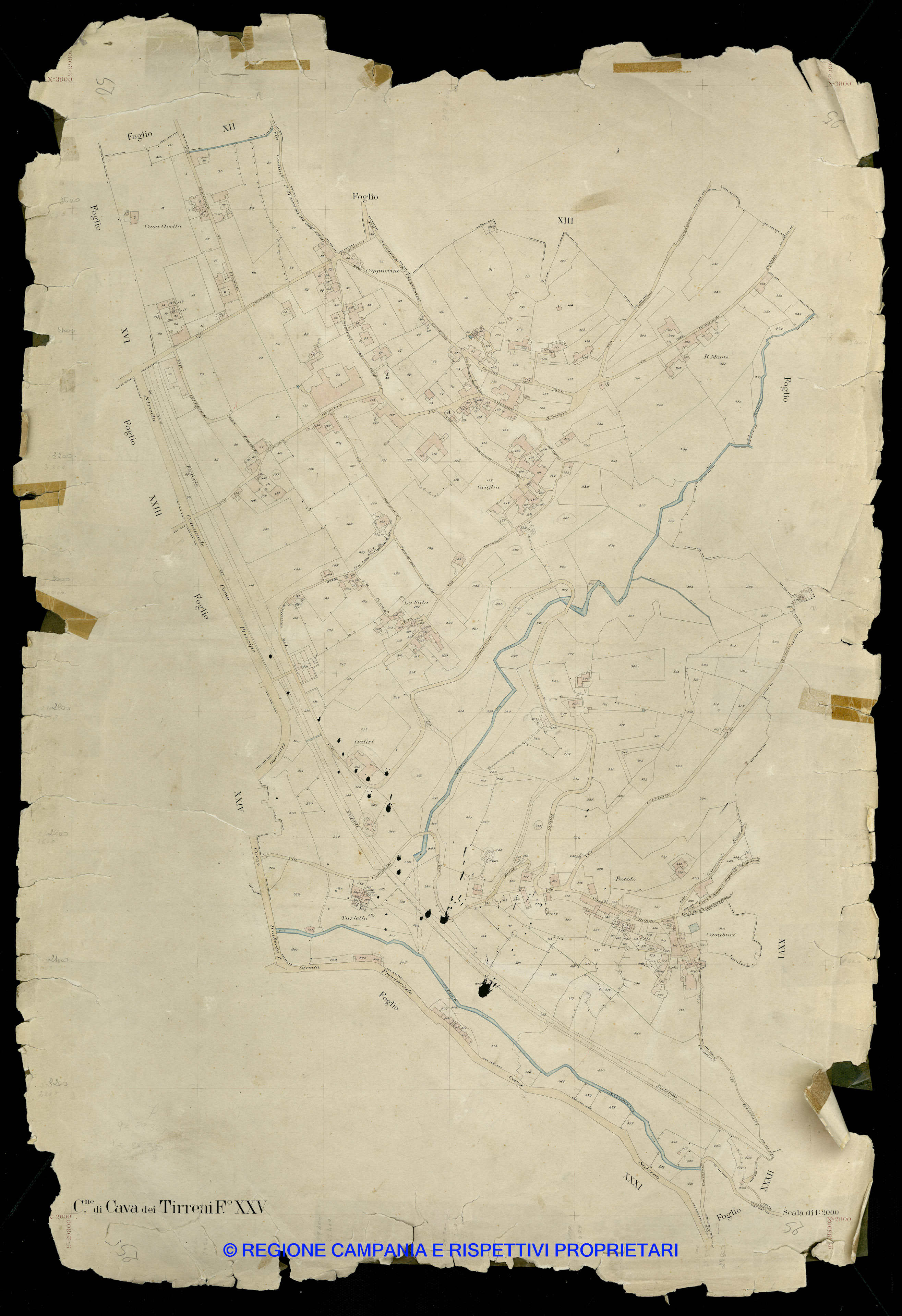 Mappa