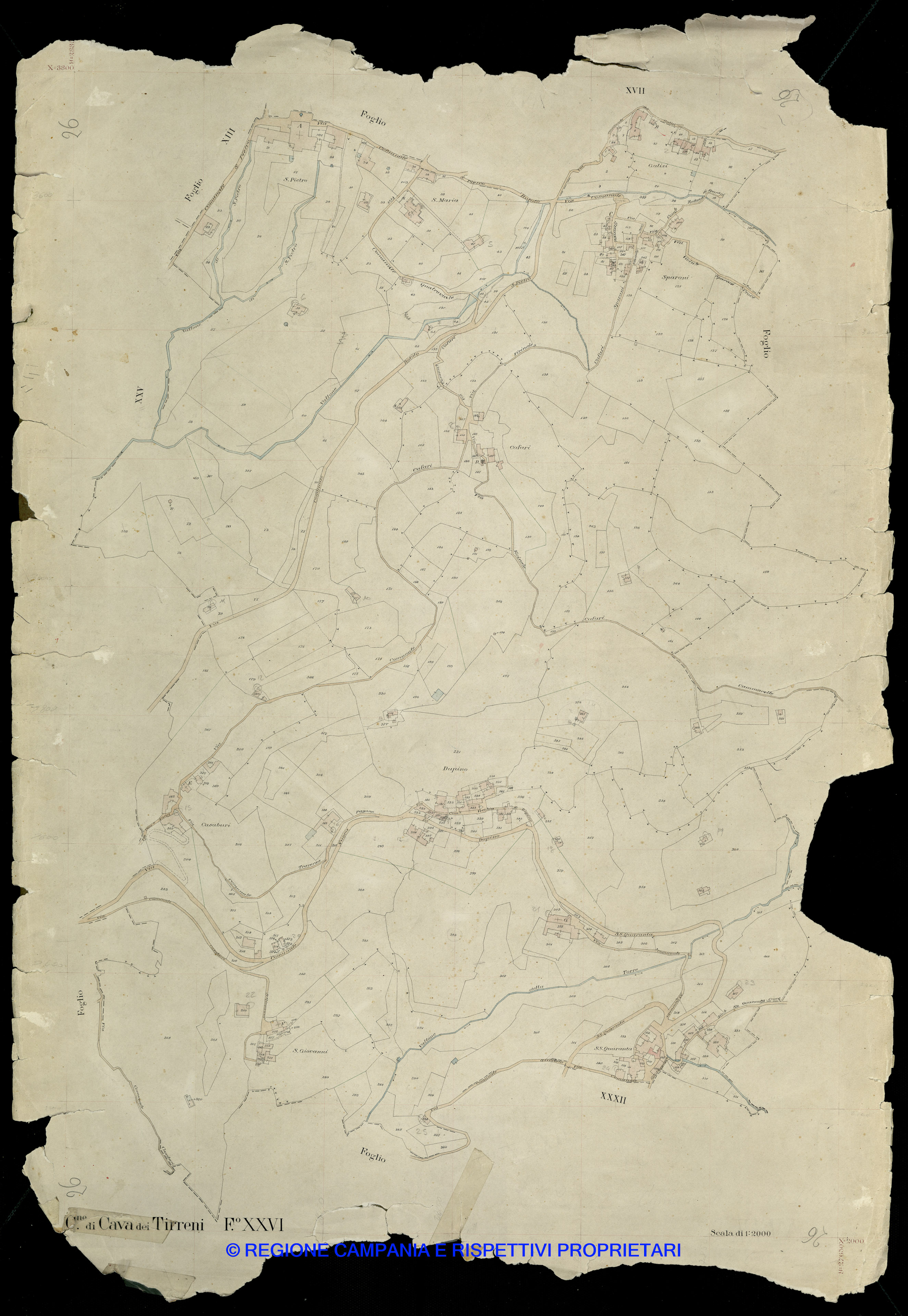 Mappa