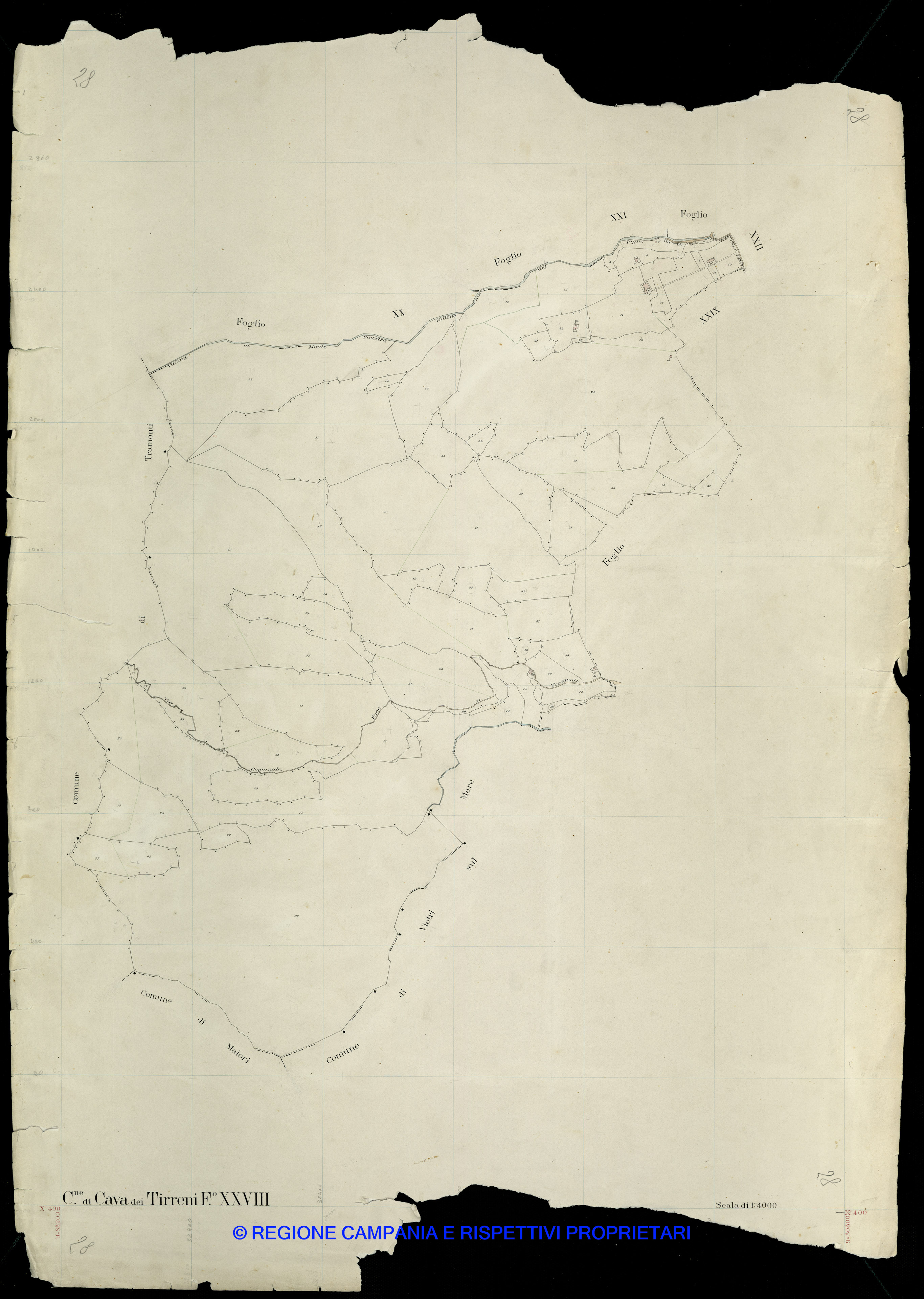 Mappa