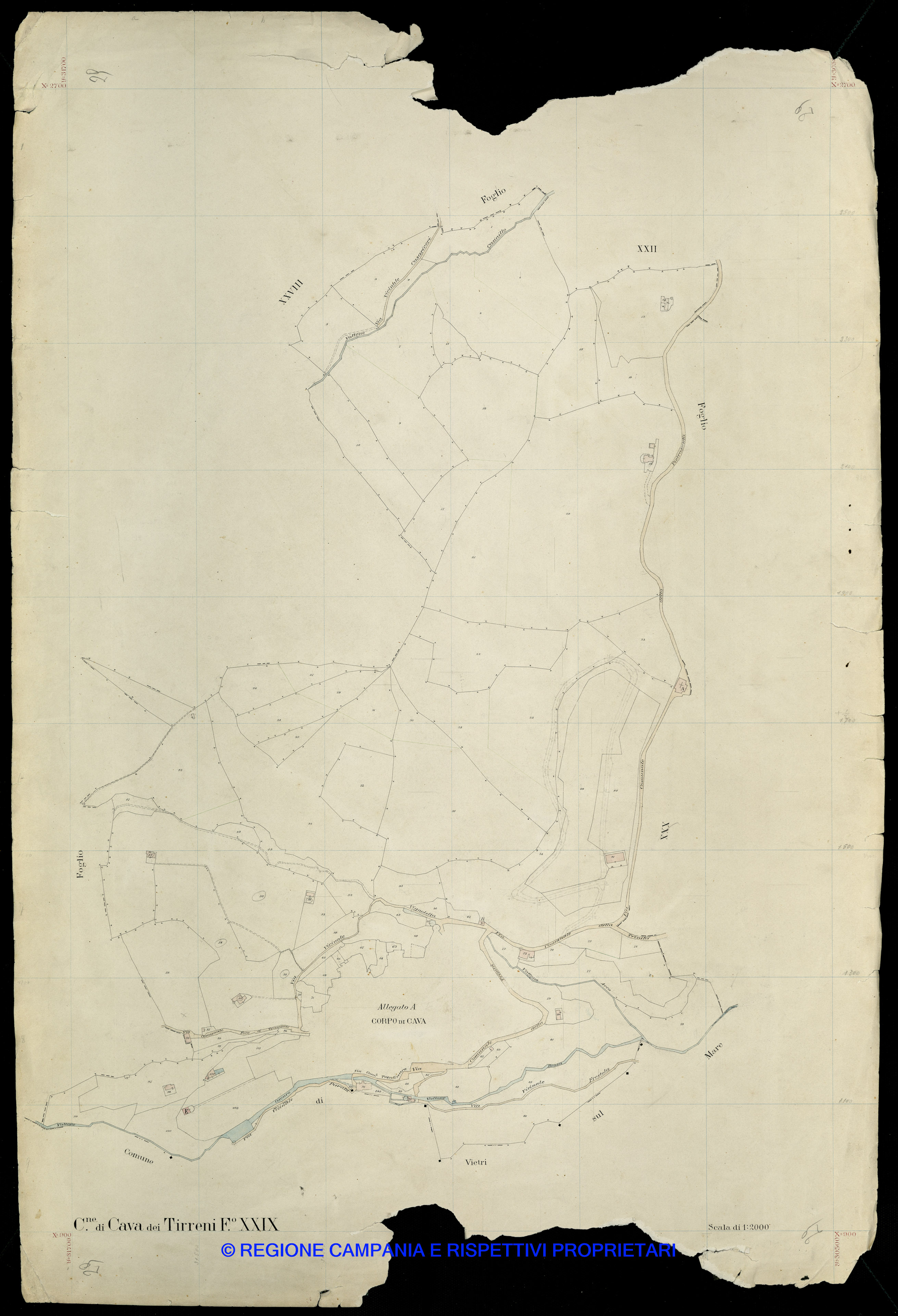Mappa