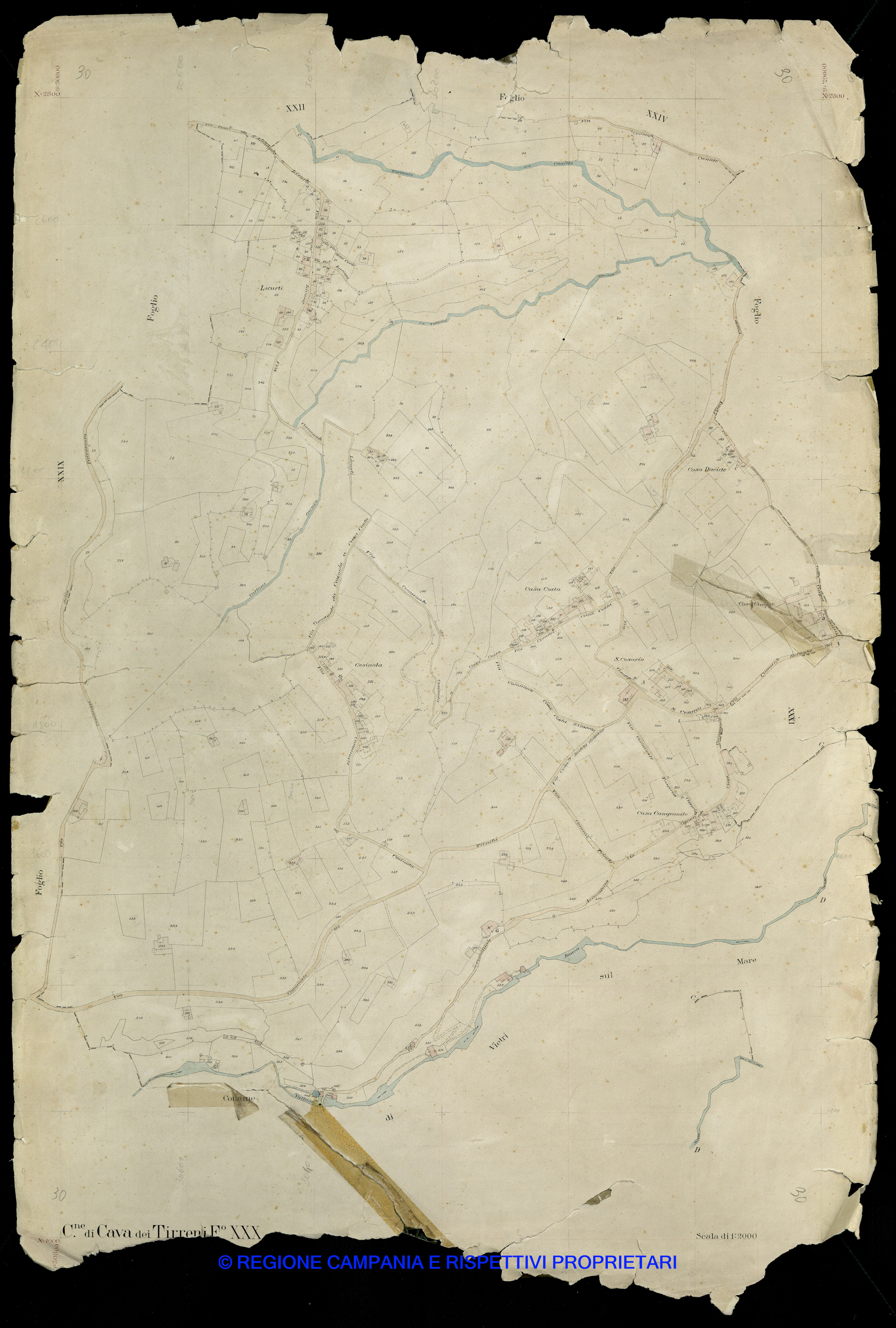 Mappa