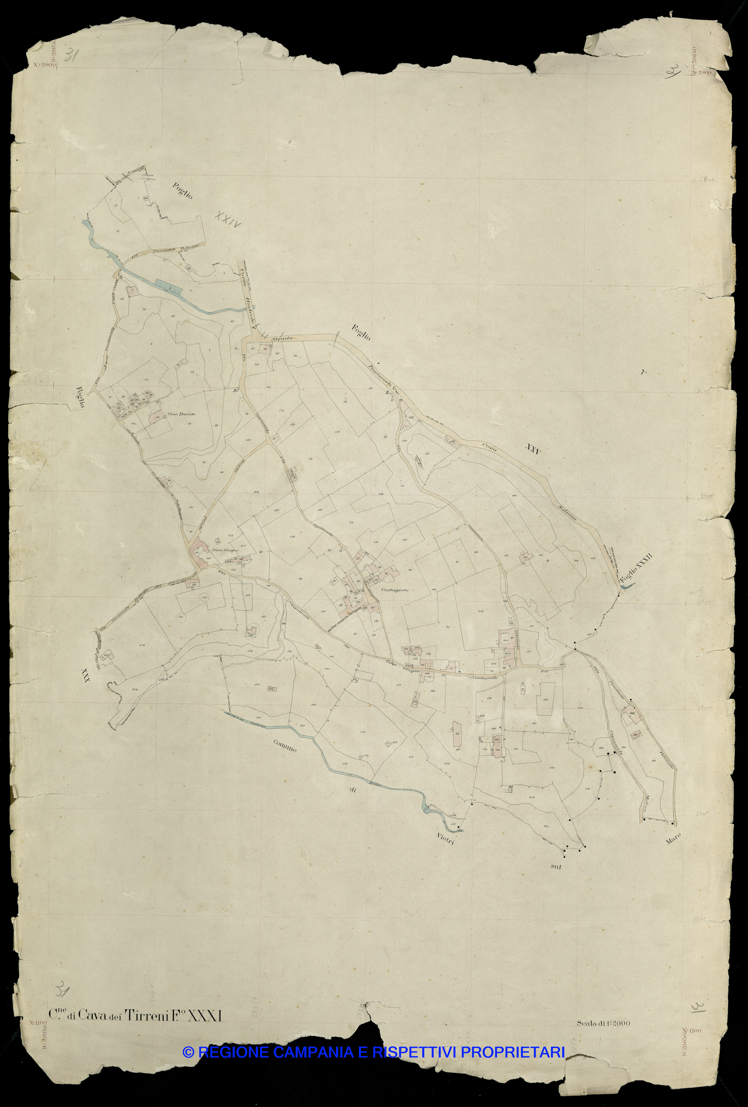 Mappa