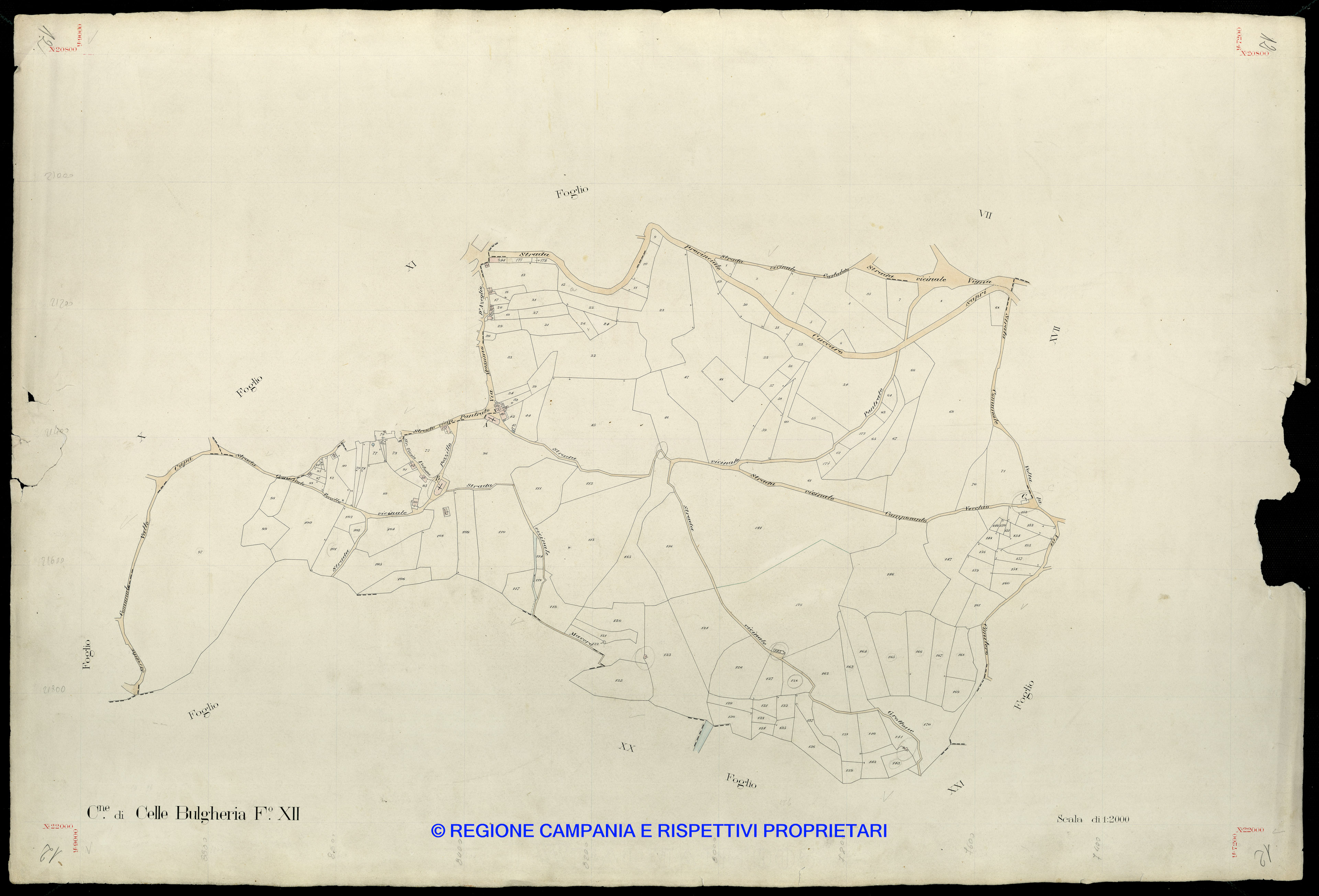 Mappa