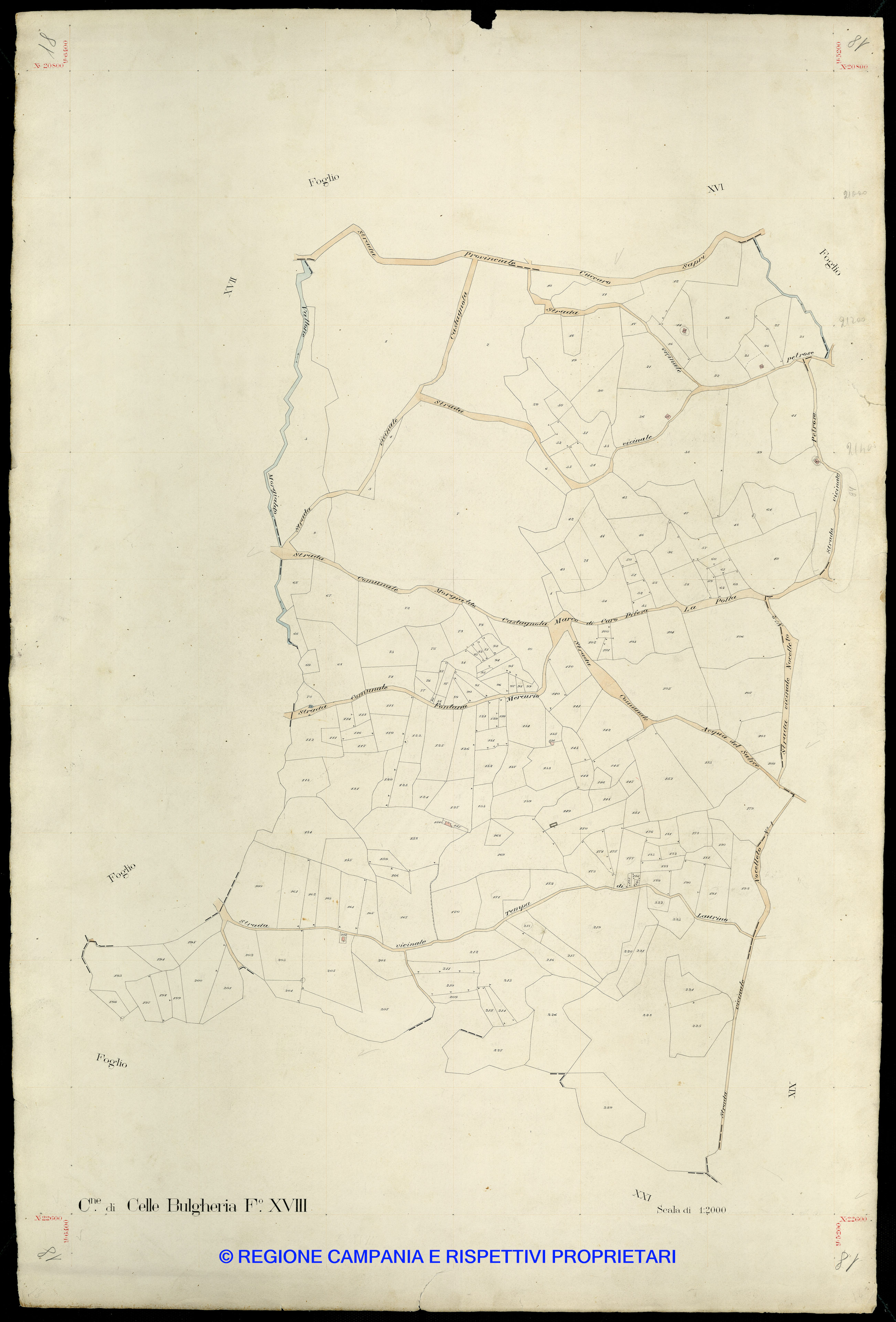 Mappa
