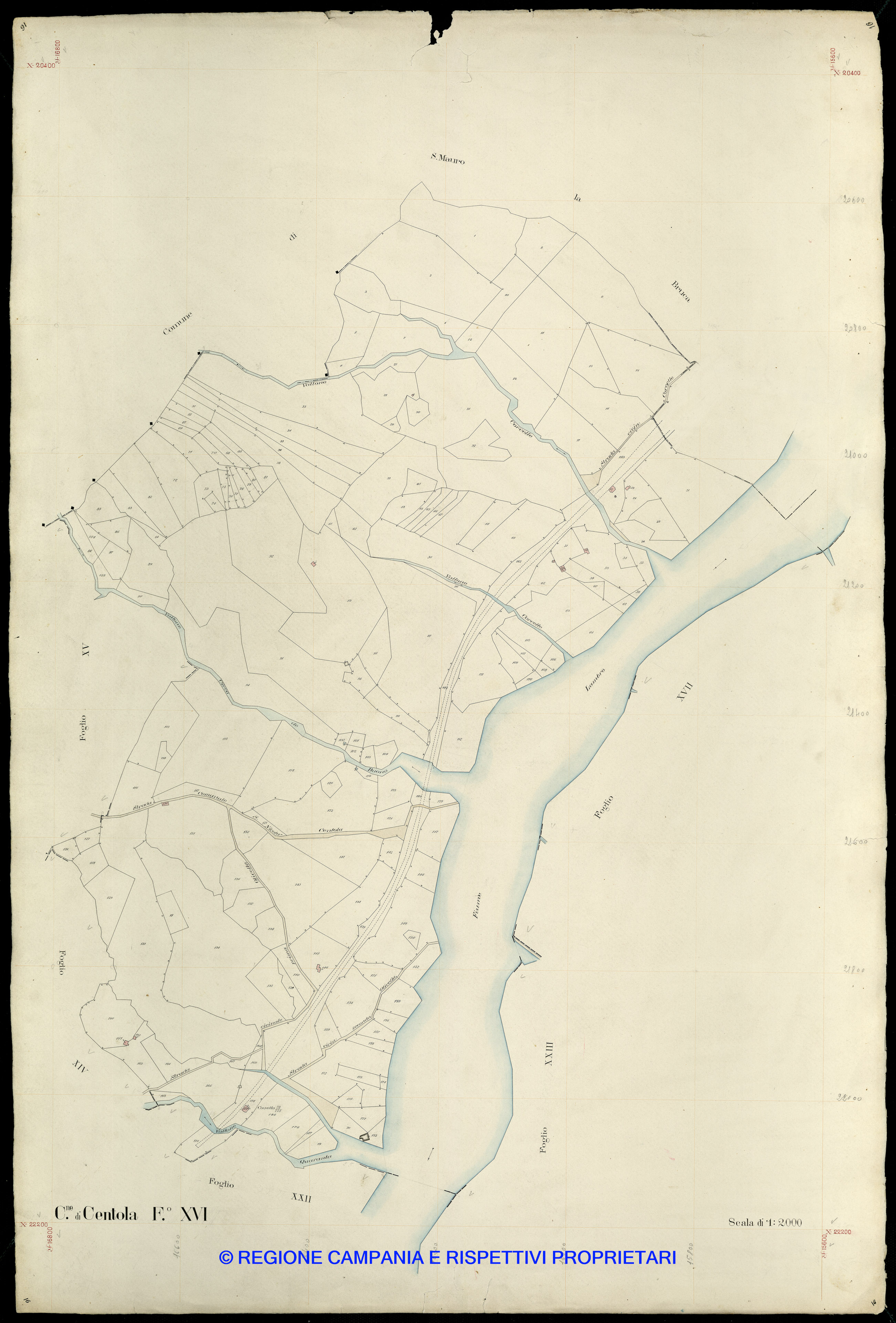 Mappa
