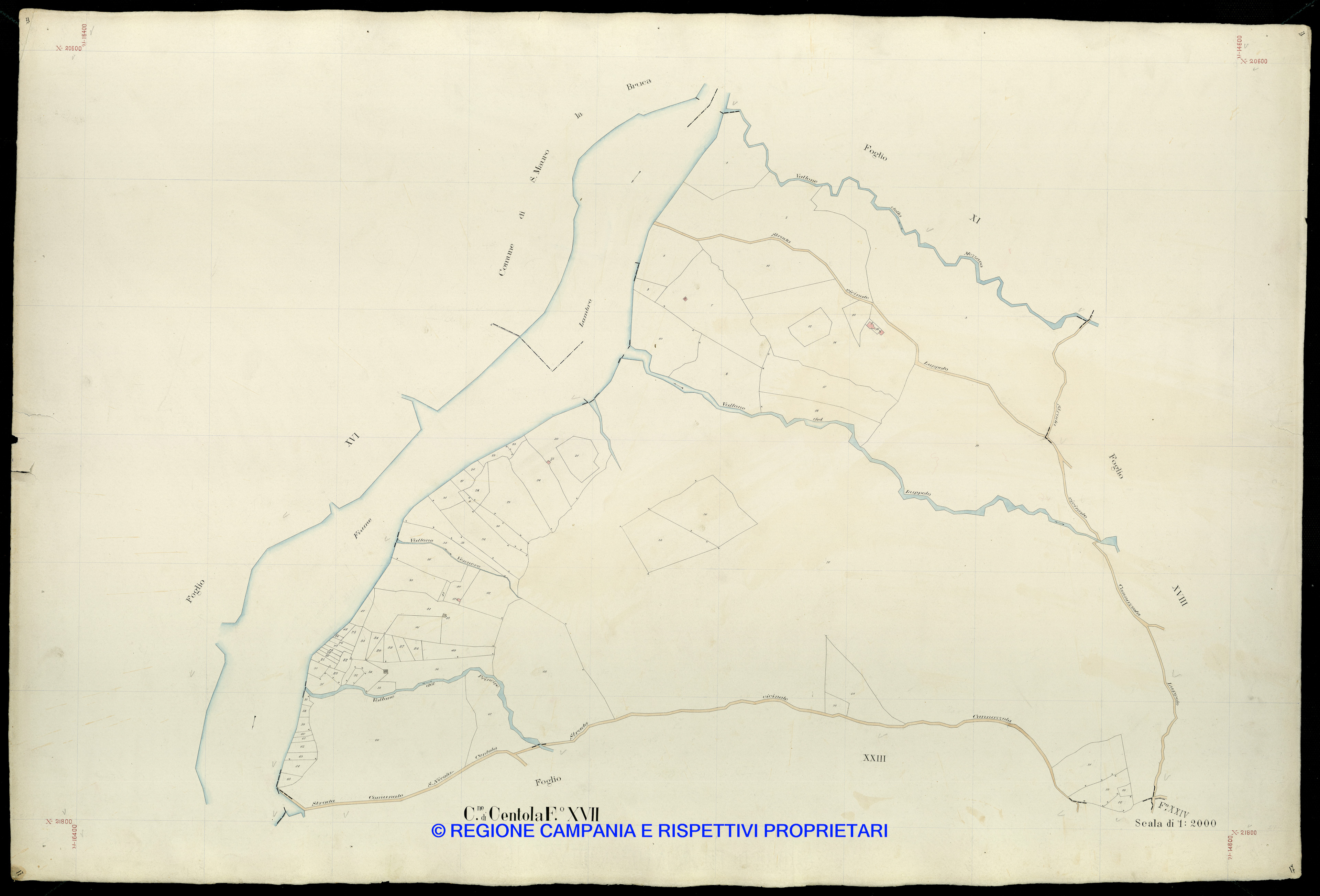 Mappa