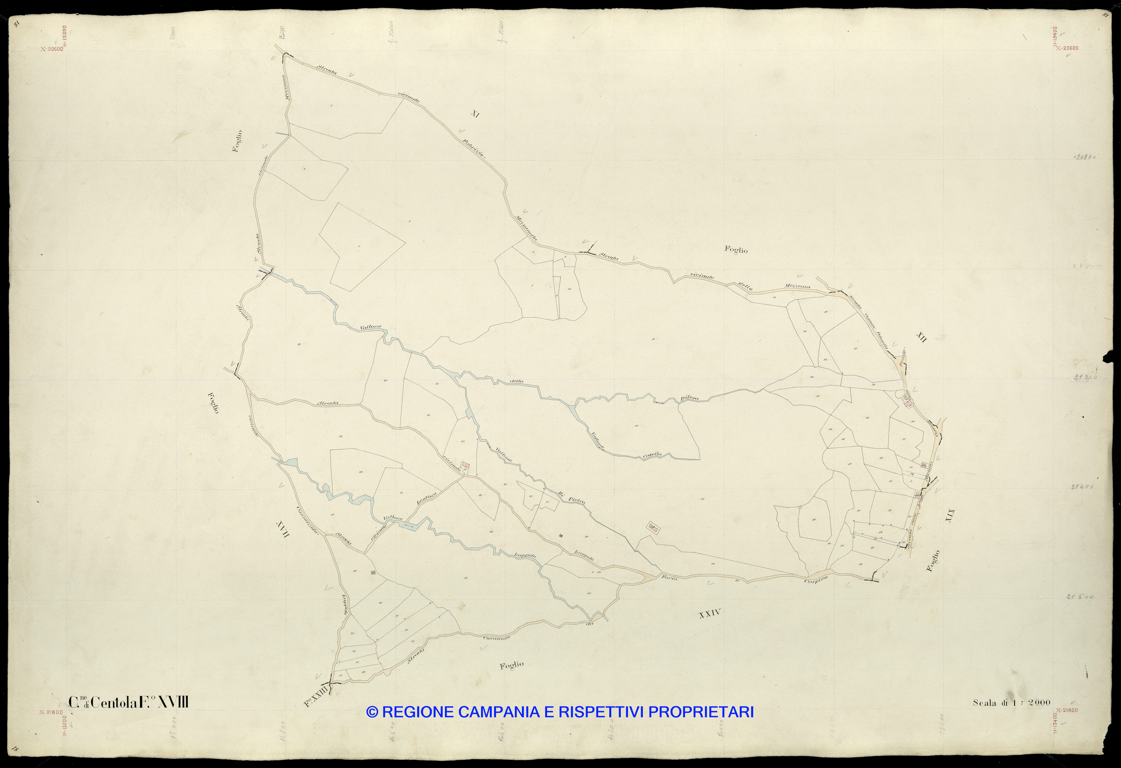 Mappa