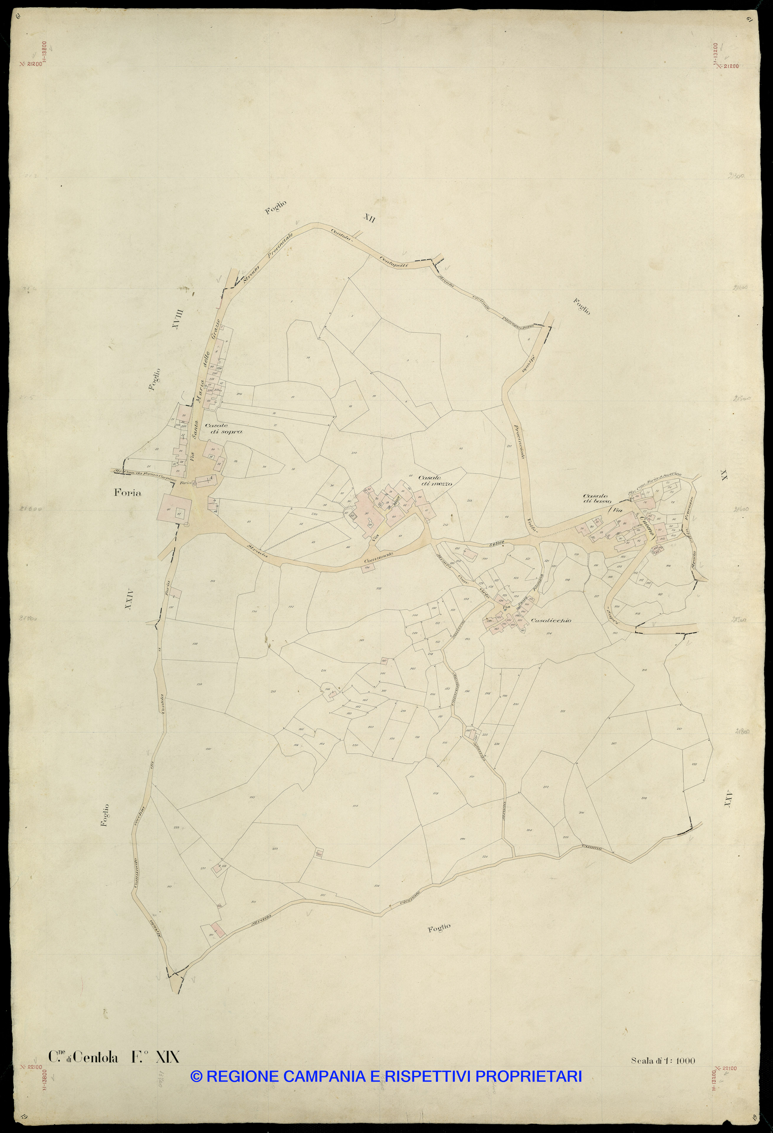 Mappa