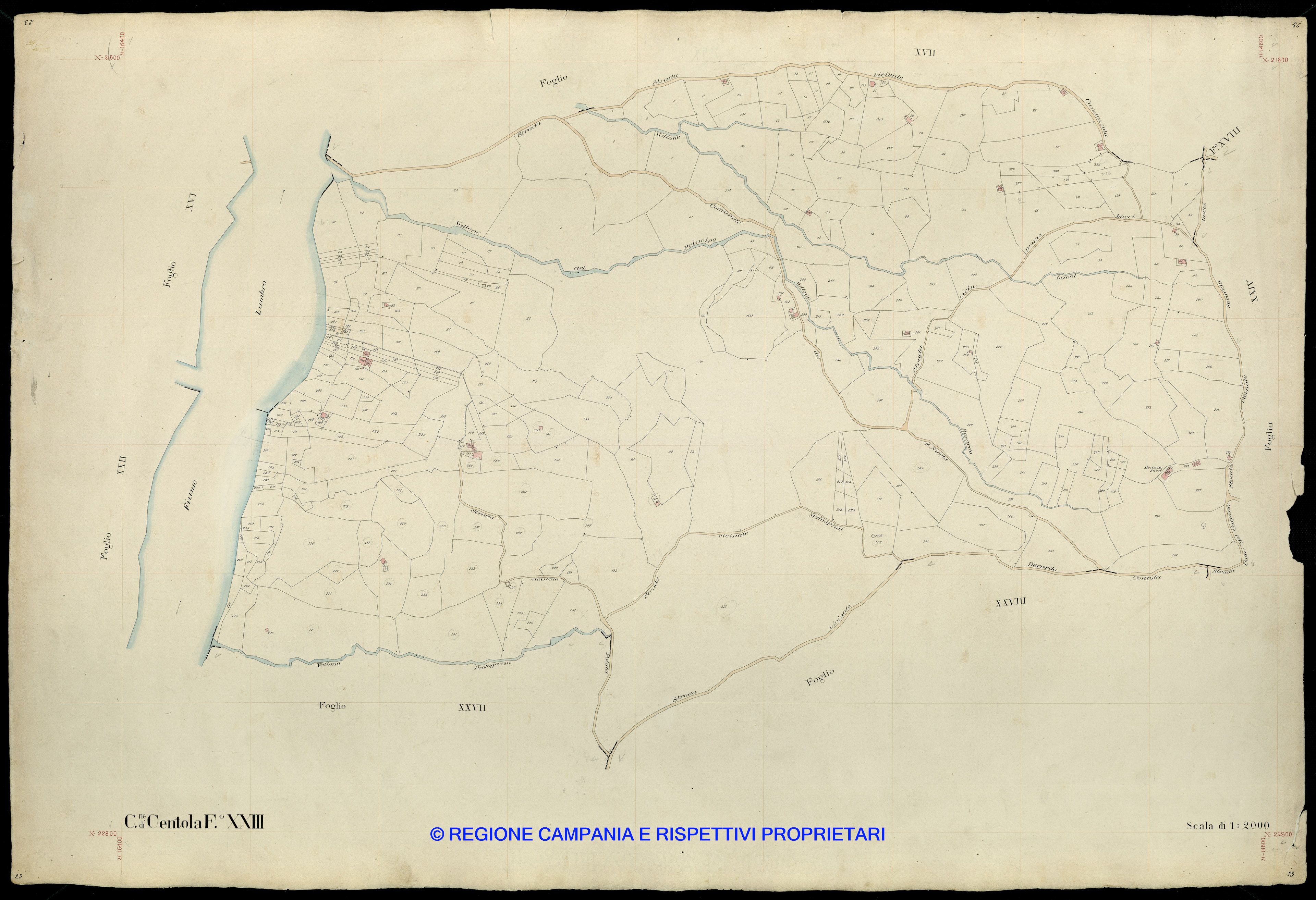 Mappa