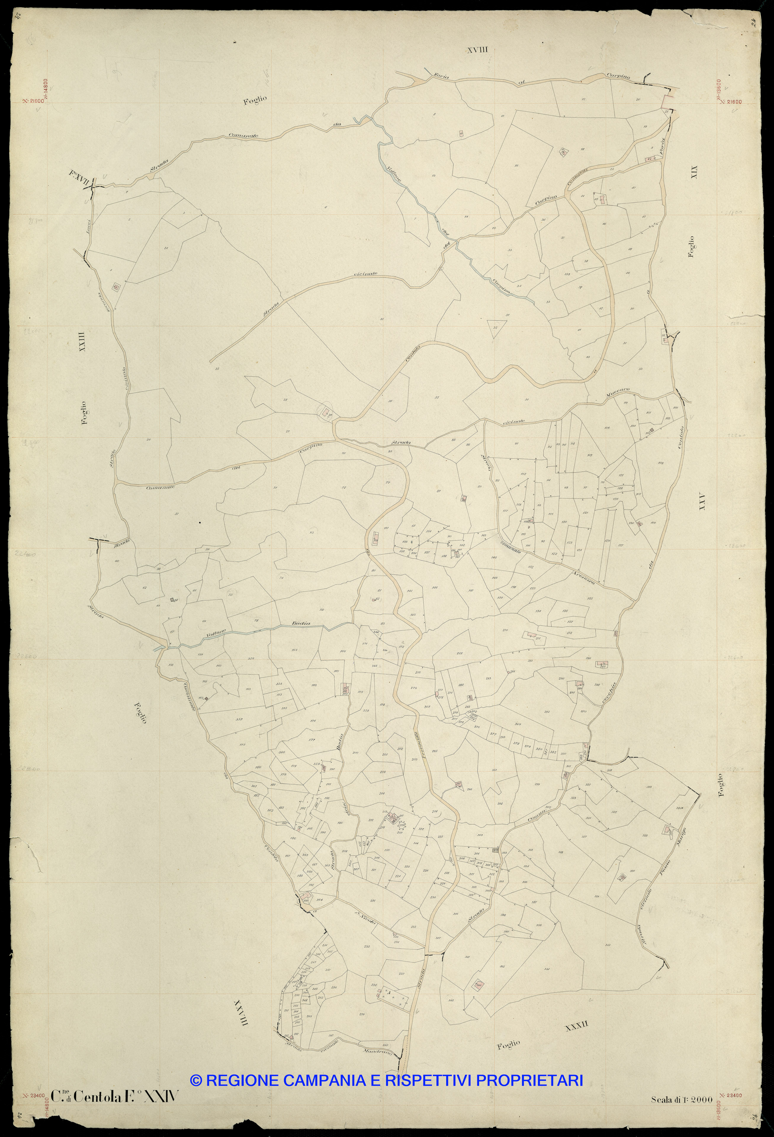Mappa