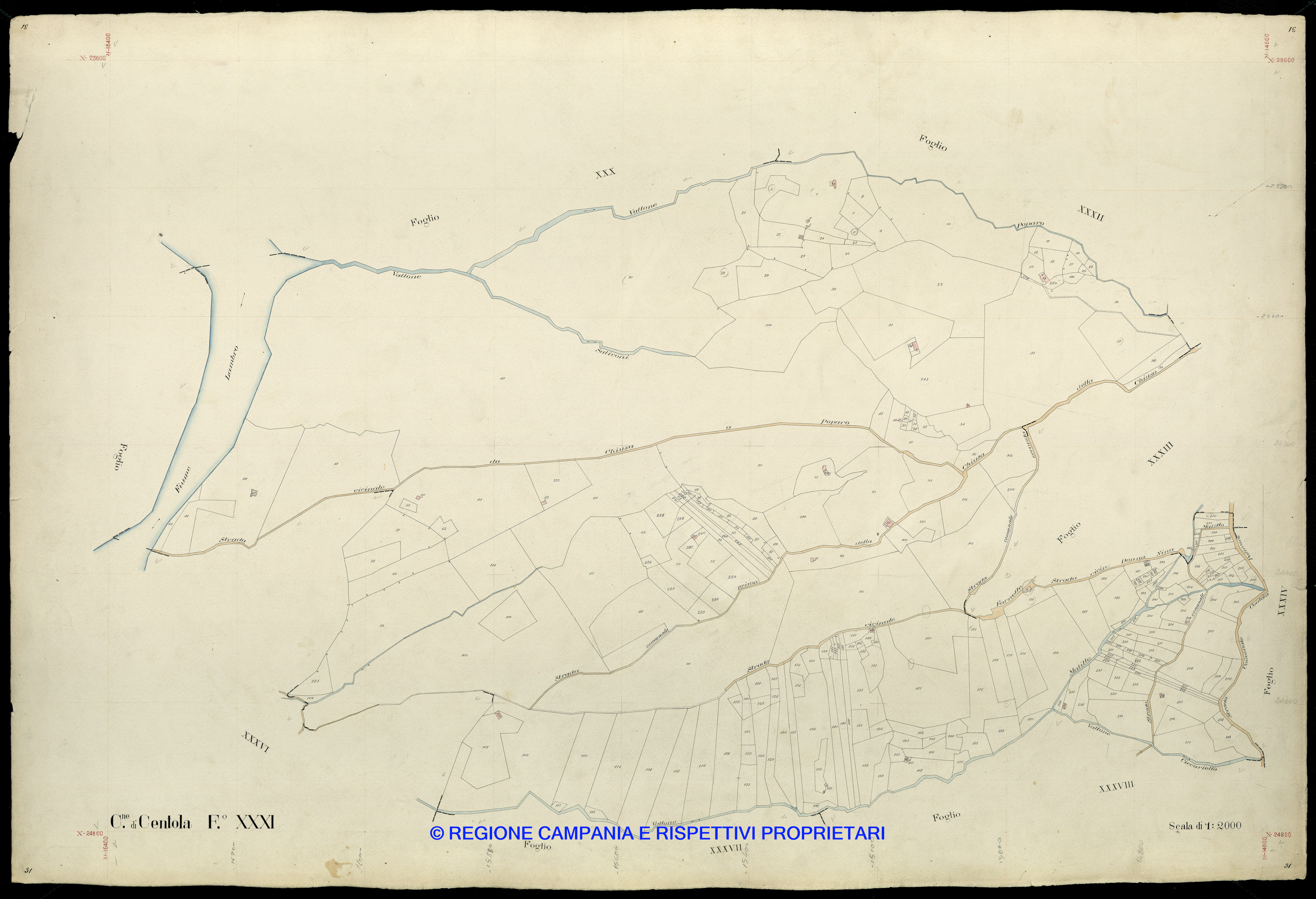 Mappa