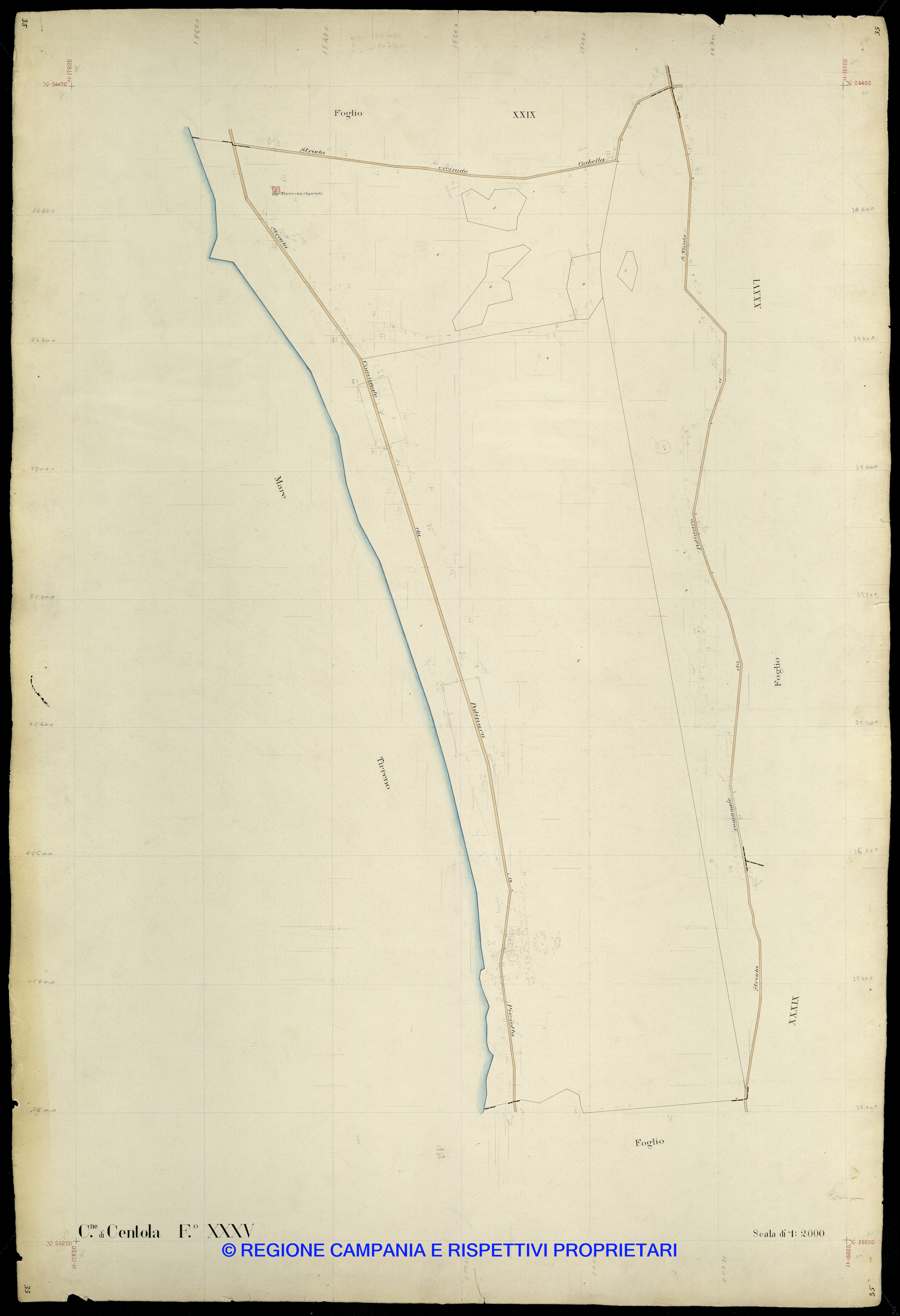 Mappa
