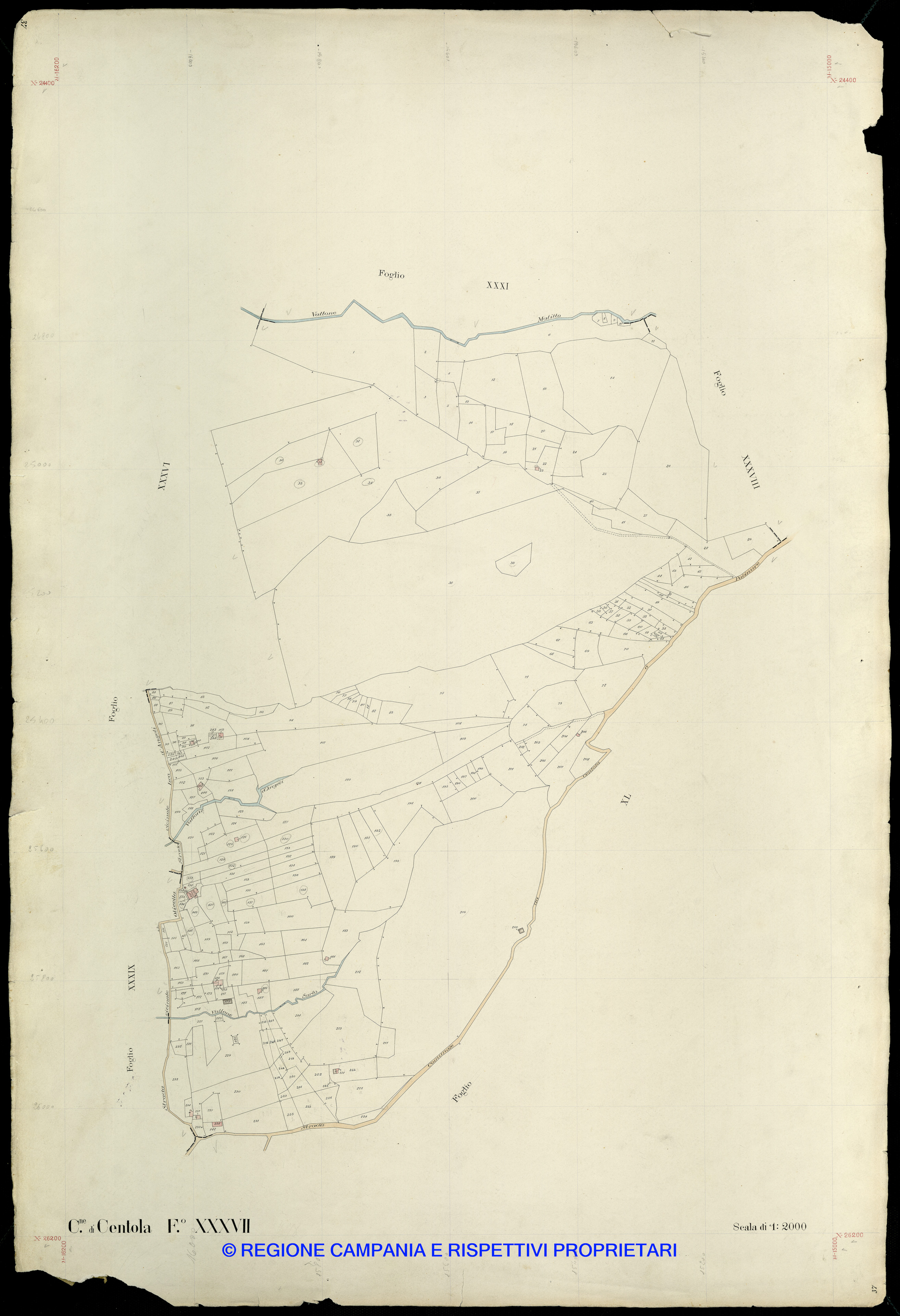 Mappa