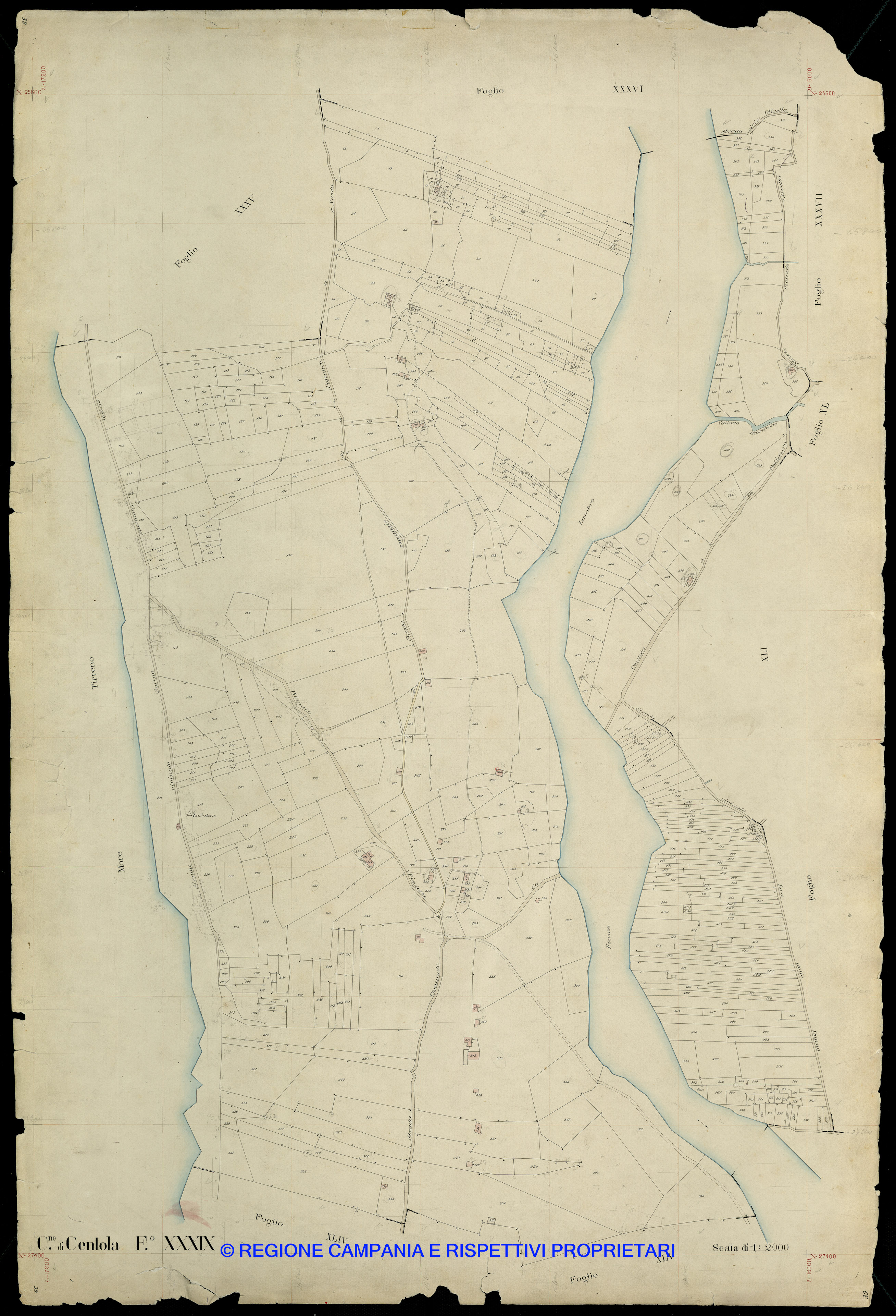 Mappa