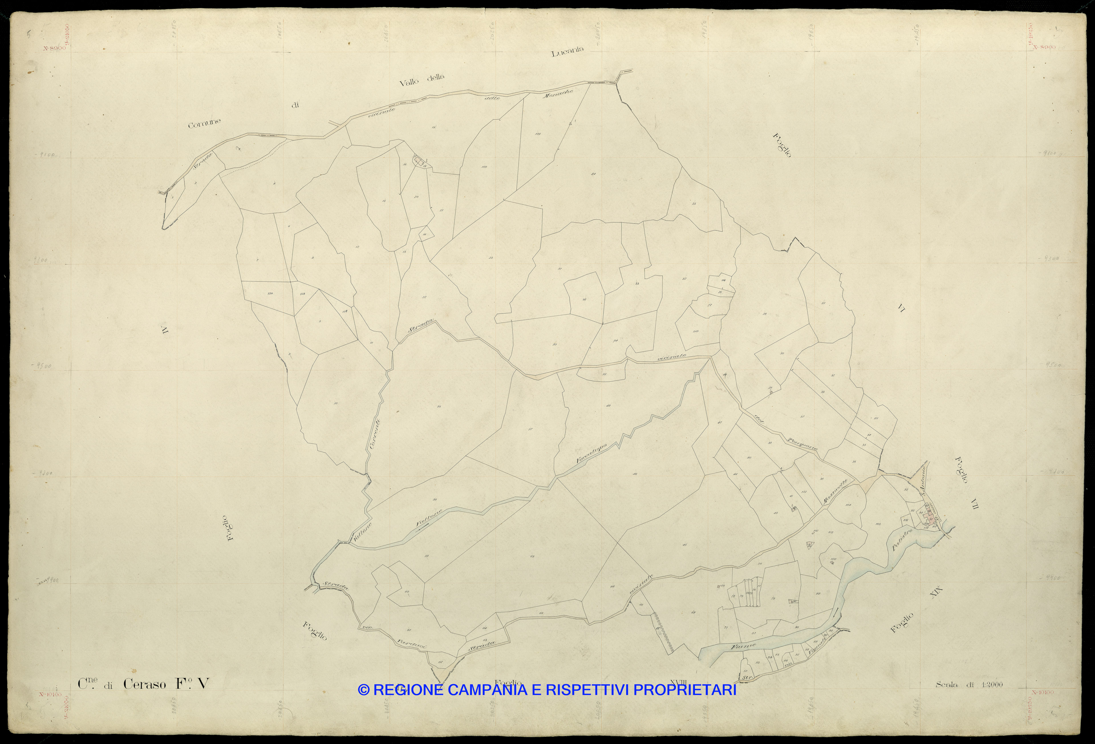Mappa