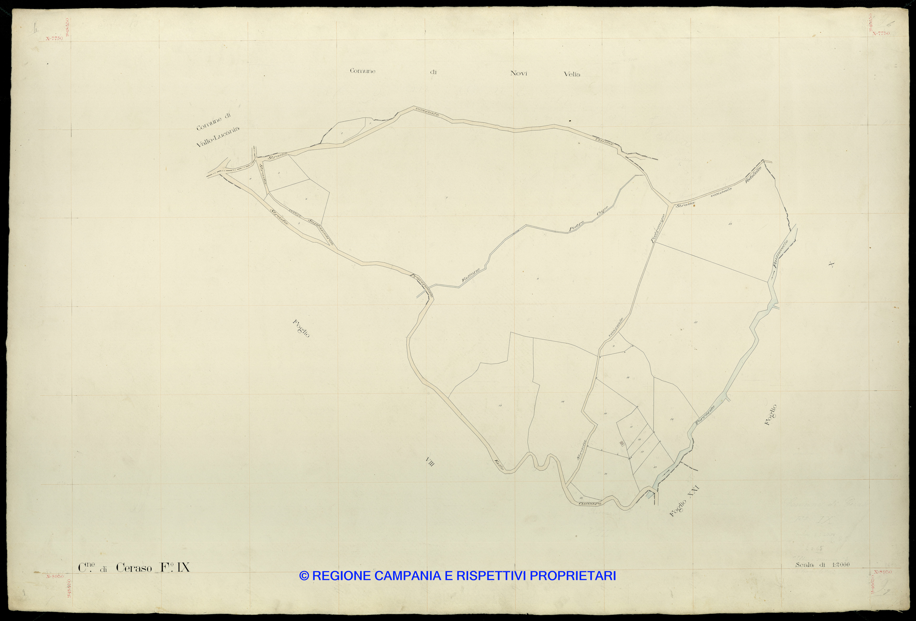 Mappa