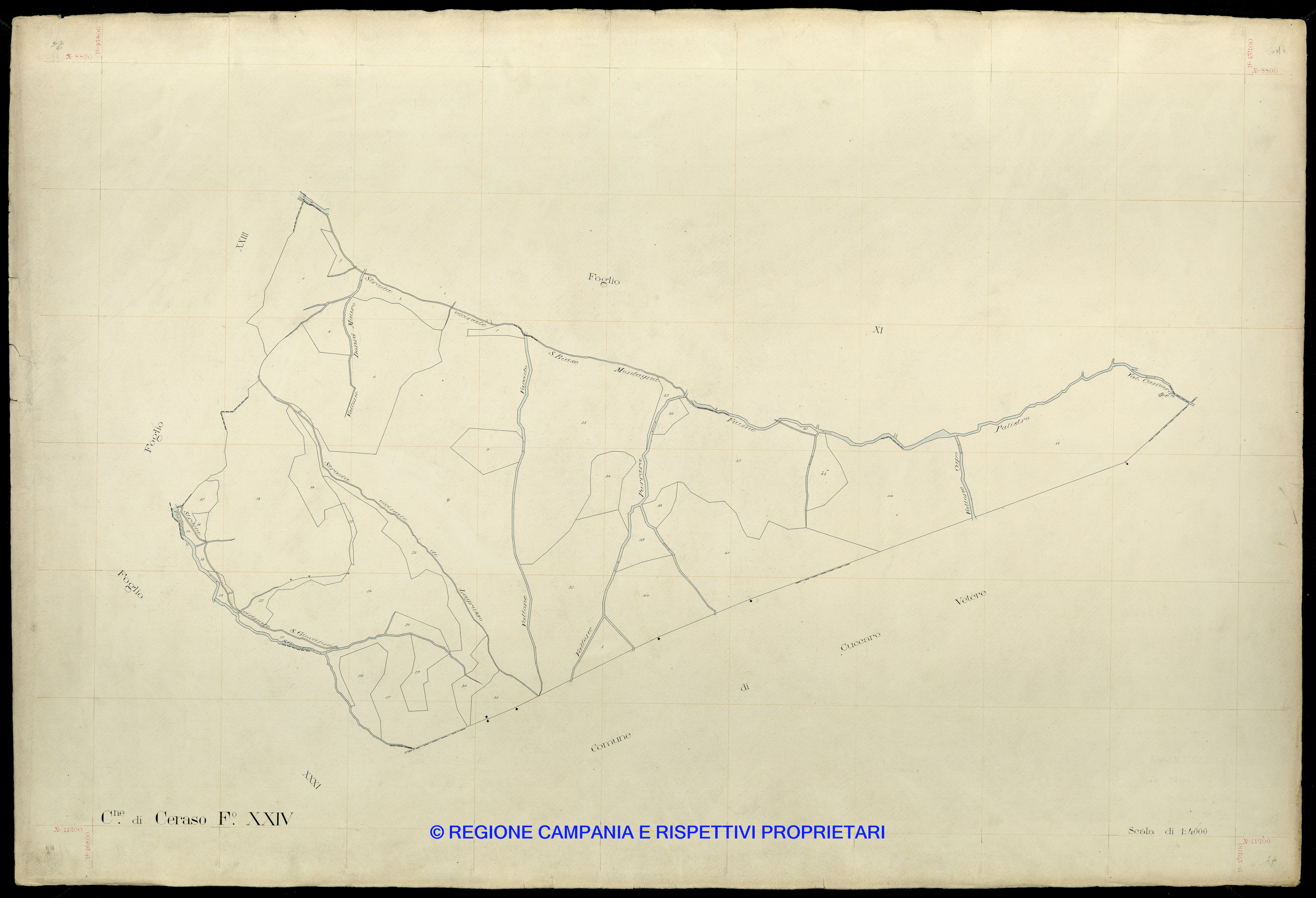Mappa