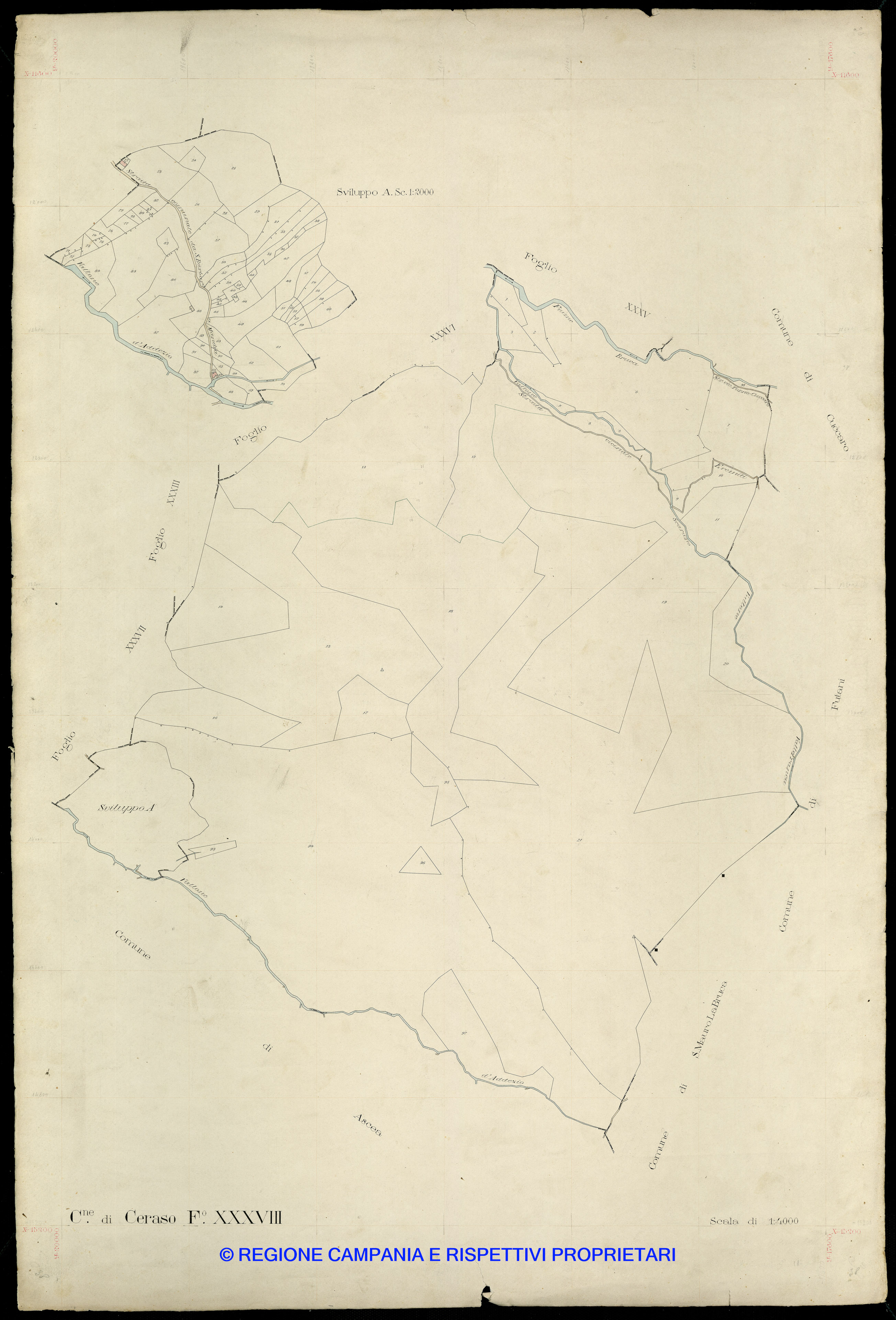 Mappa