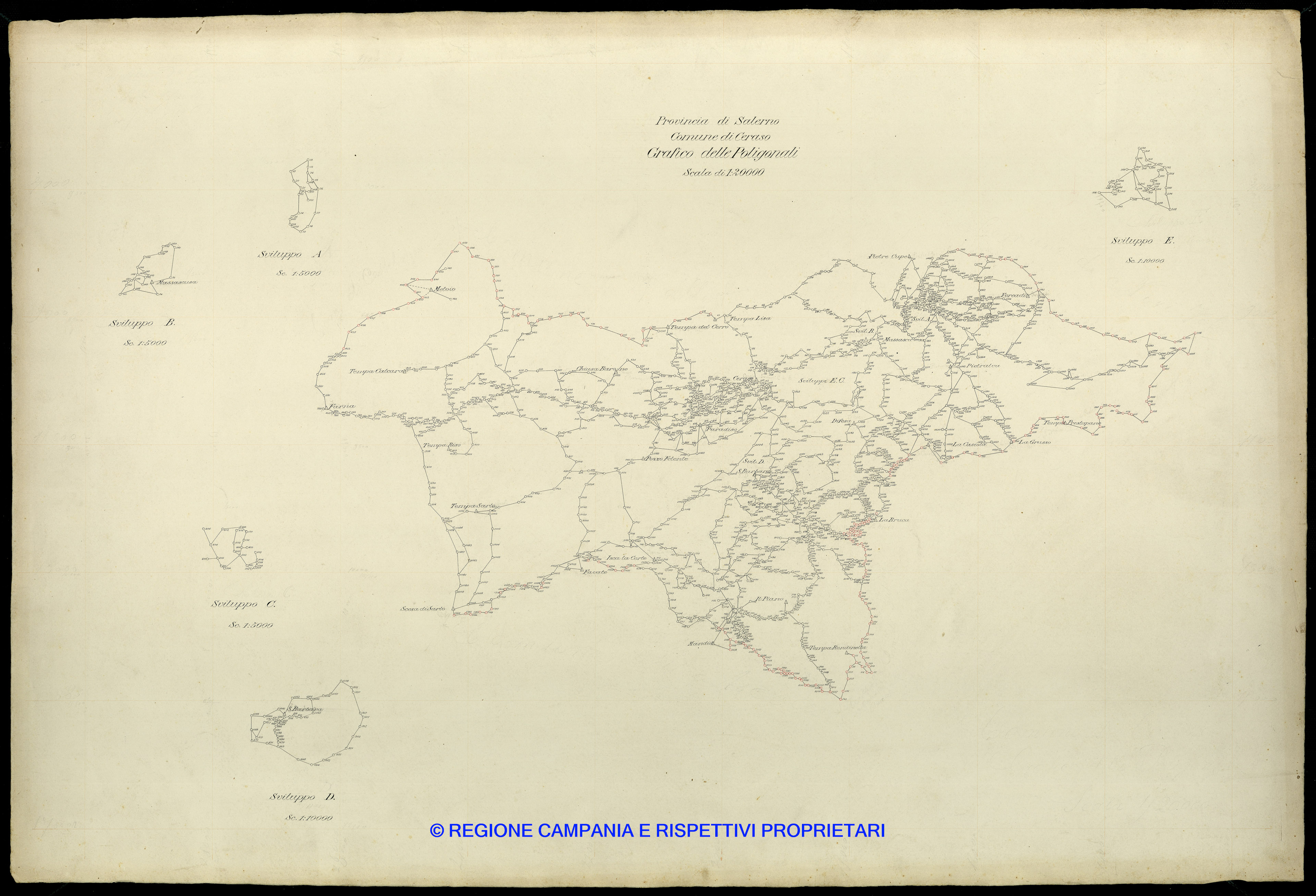 Grafico delle Poligonali