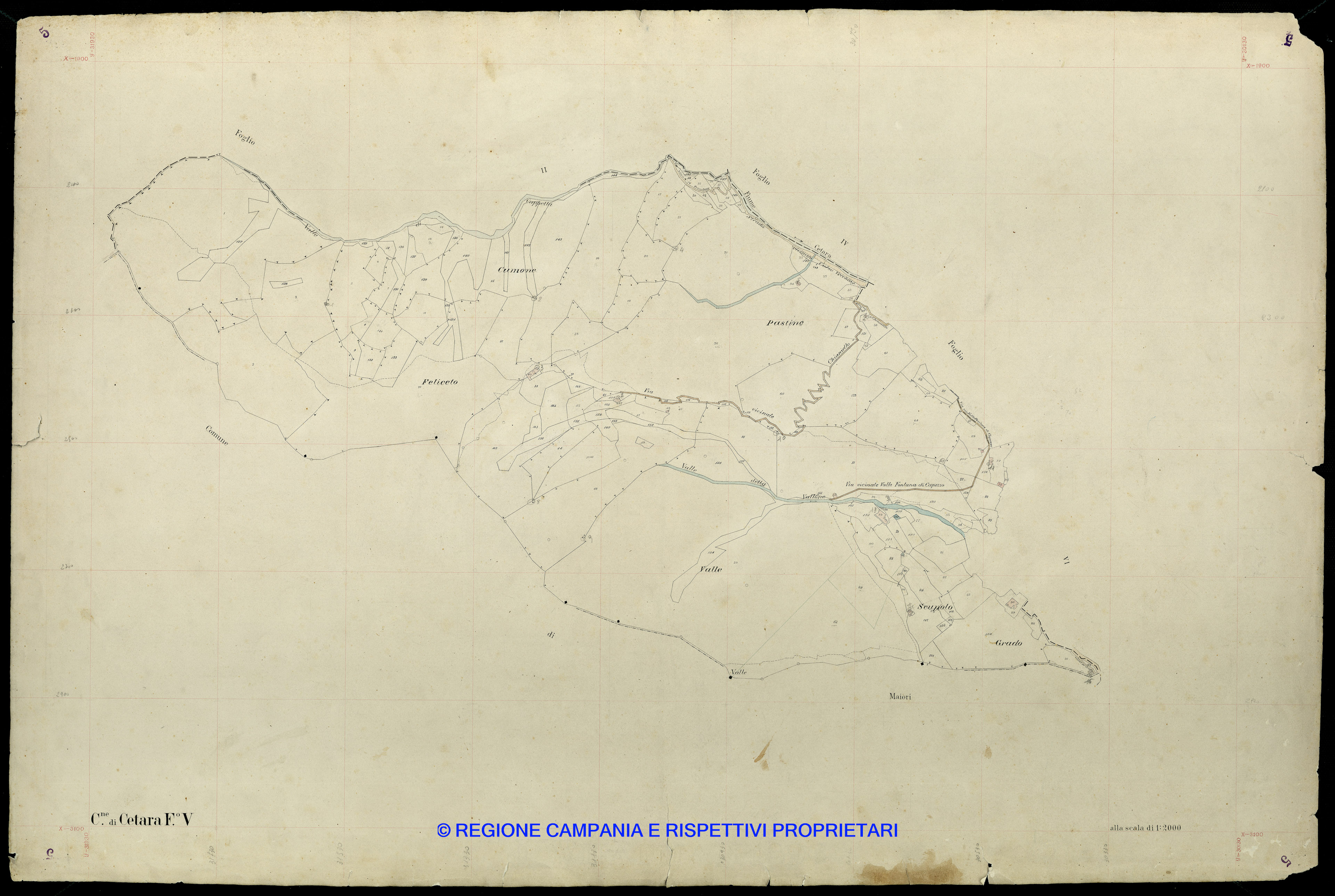 Mappa