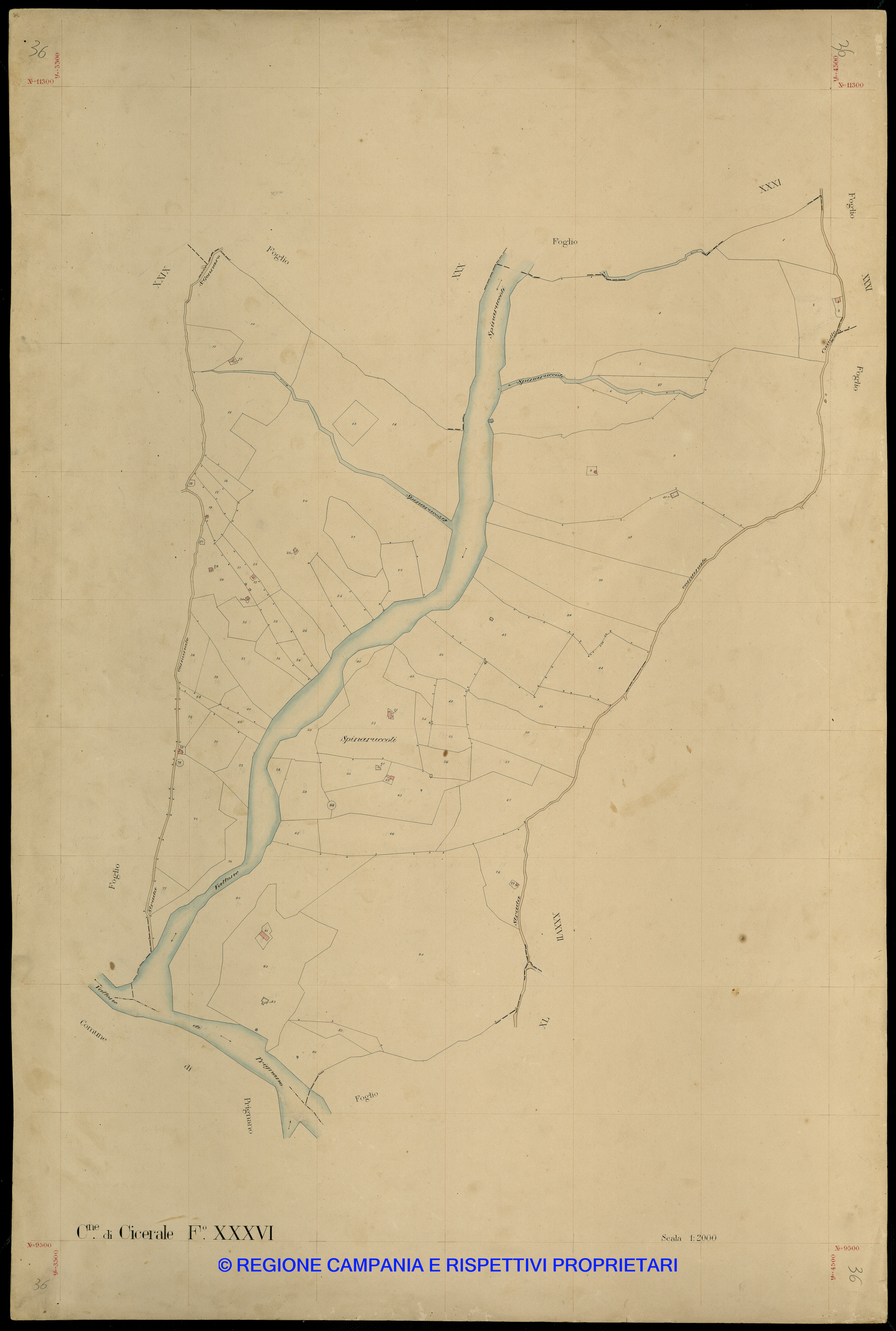 Mappa