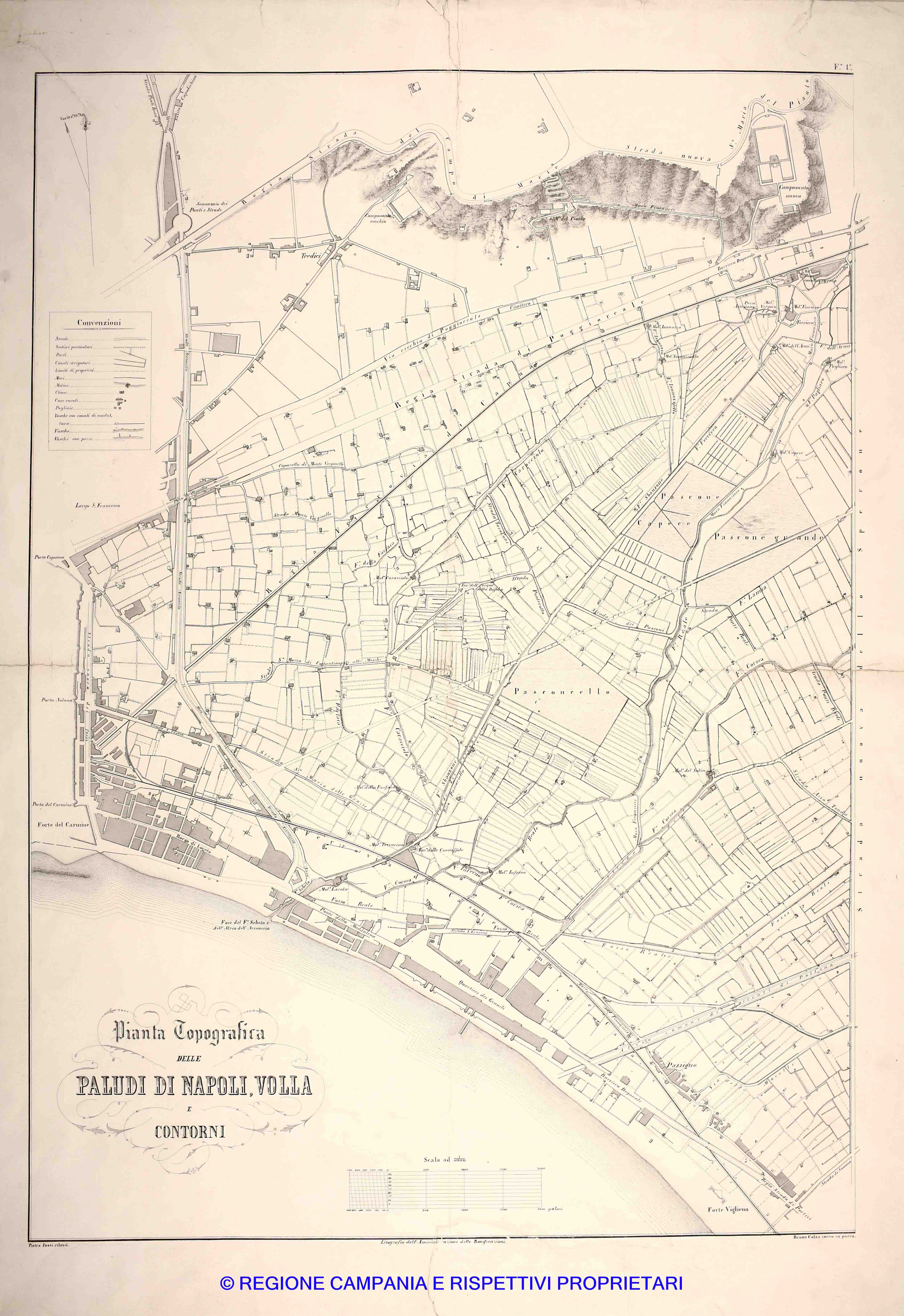 Pianta Topografica delle Paludi di Napoli, Volla e Contorni Pianta Topografica delle Paludi di Napoli, Volla e Contorni
