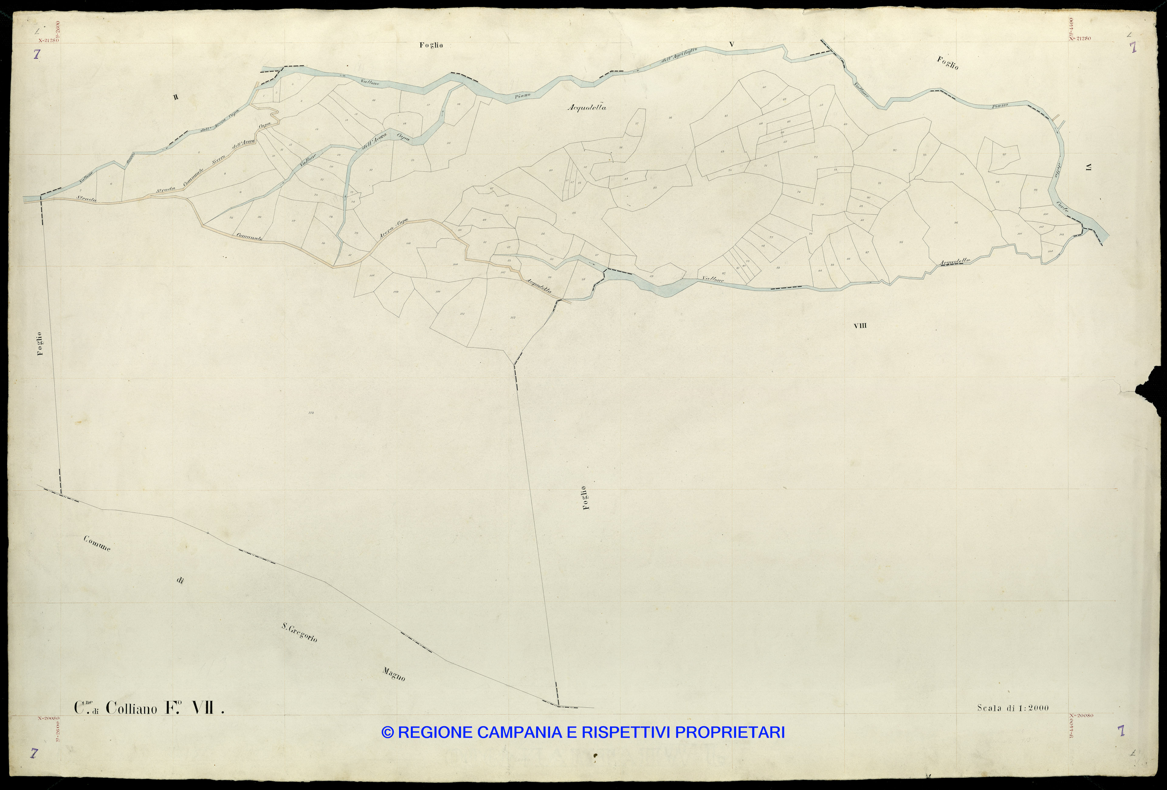 Mappa
