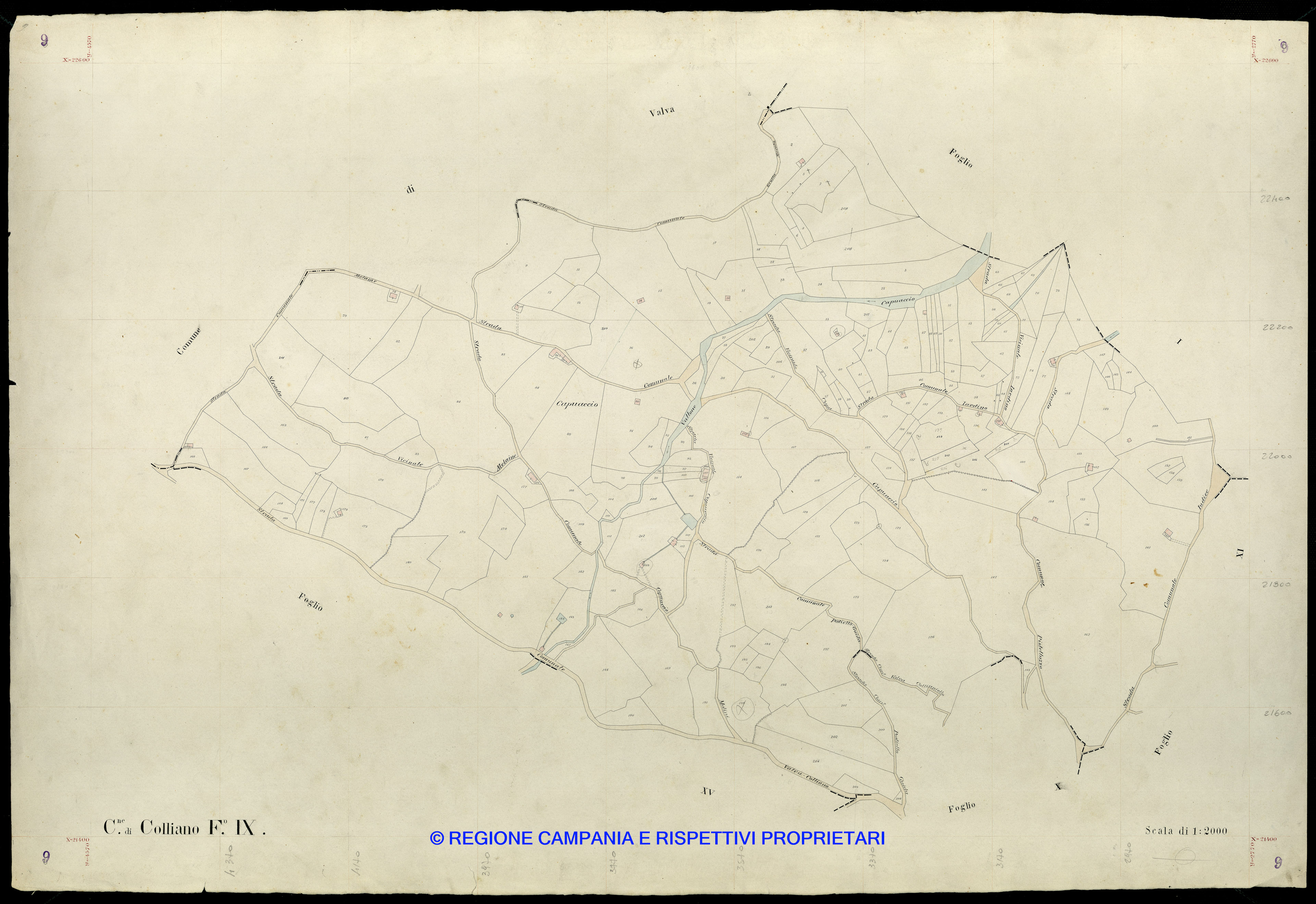 Mappa