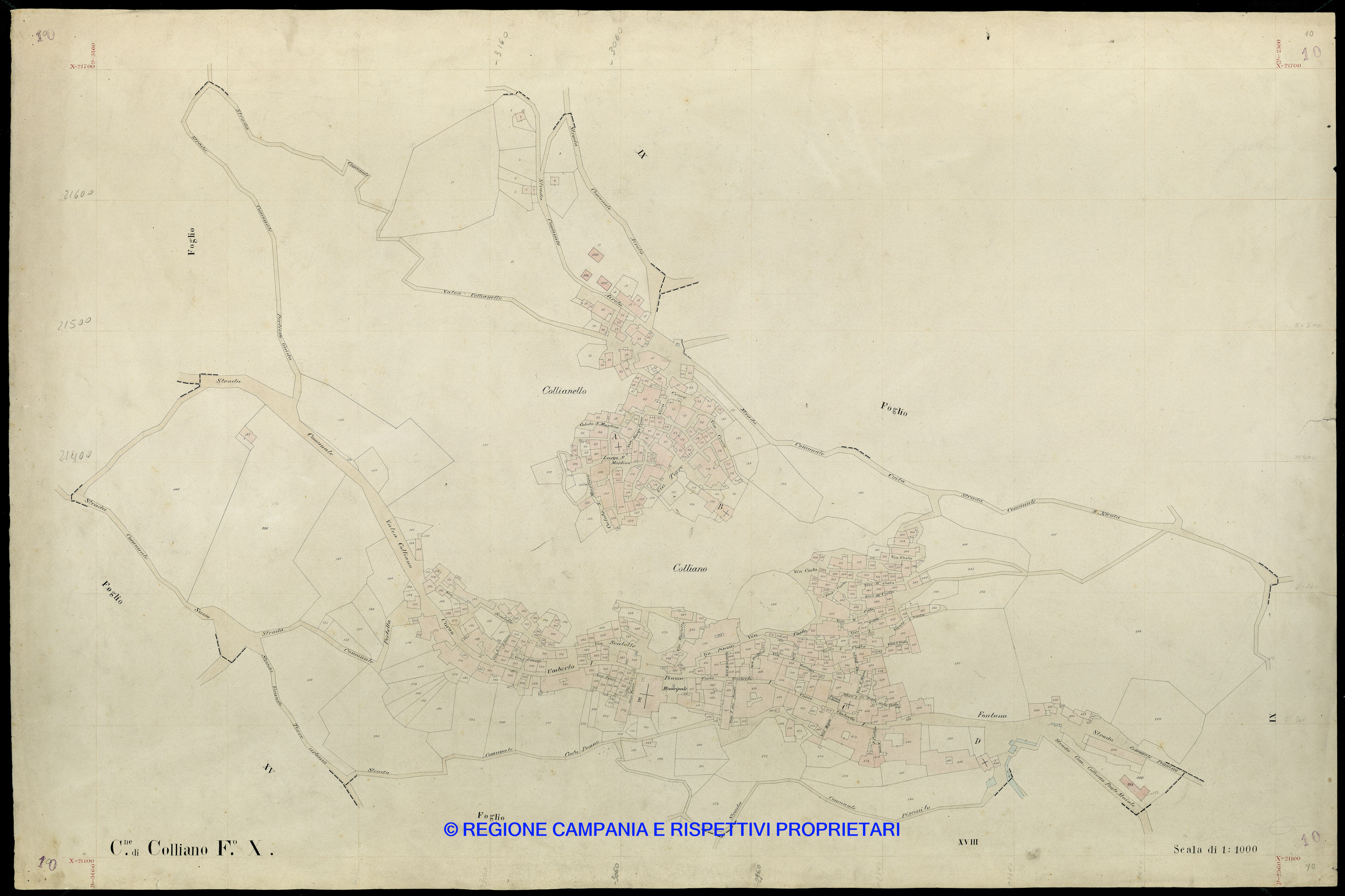 Mappa