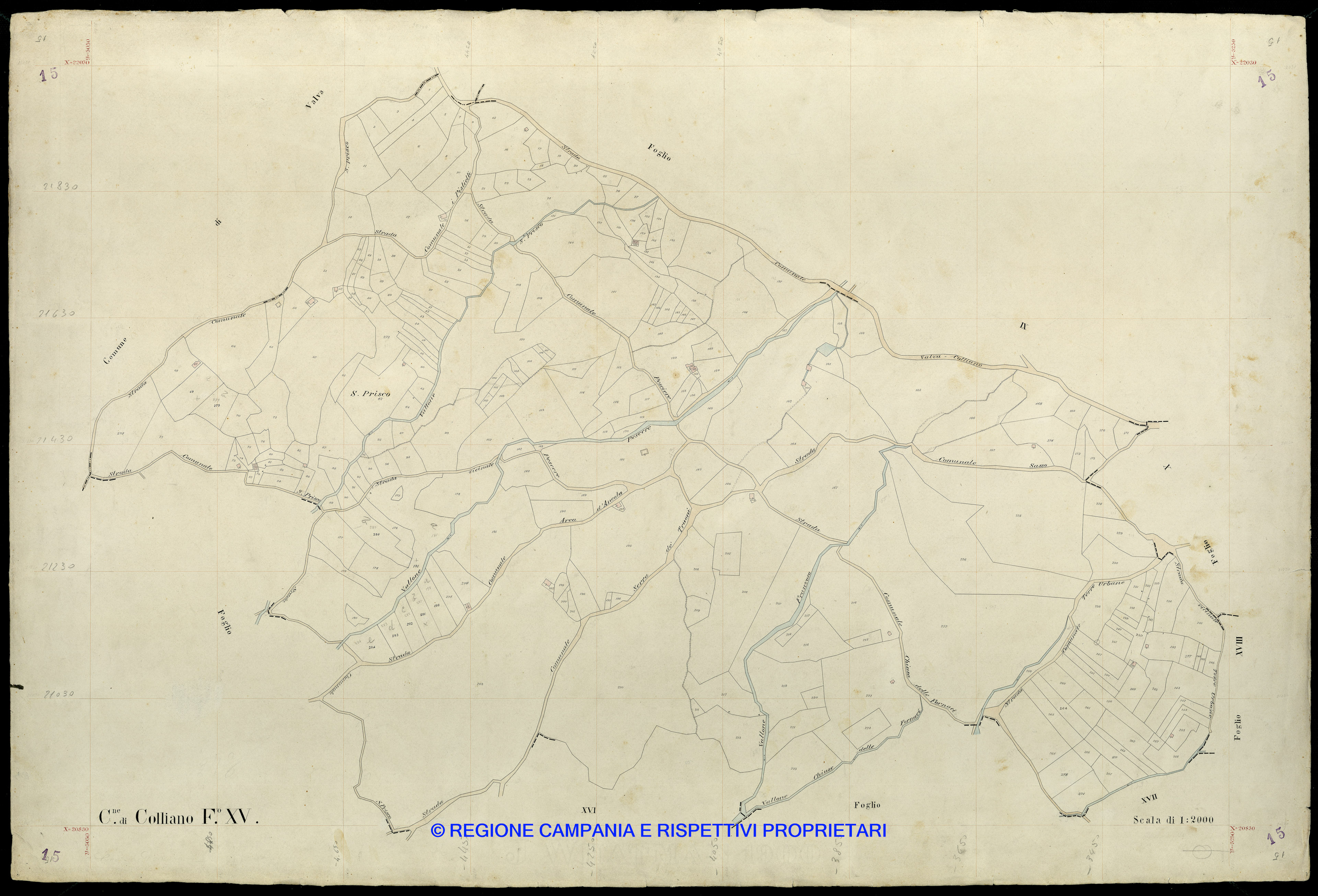 Mappa