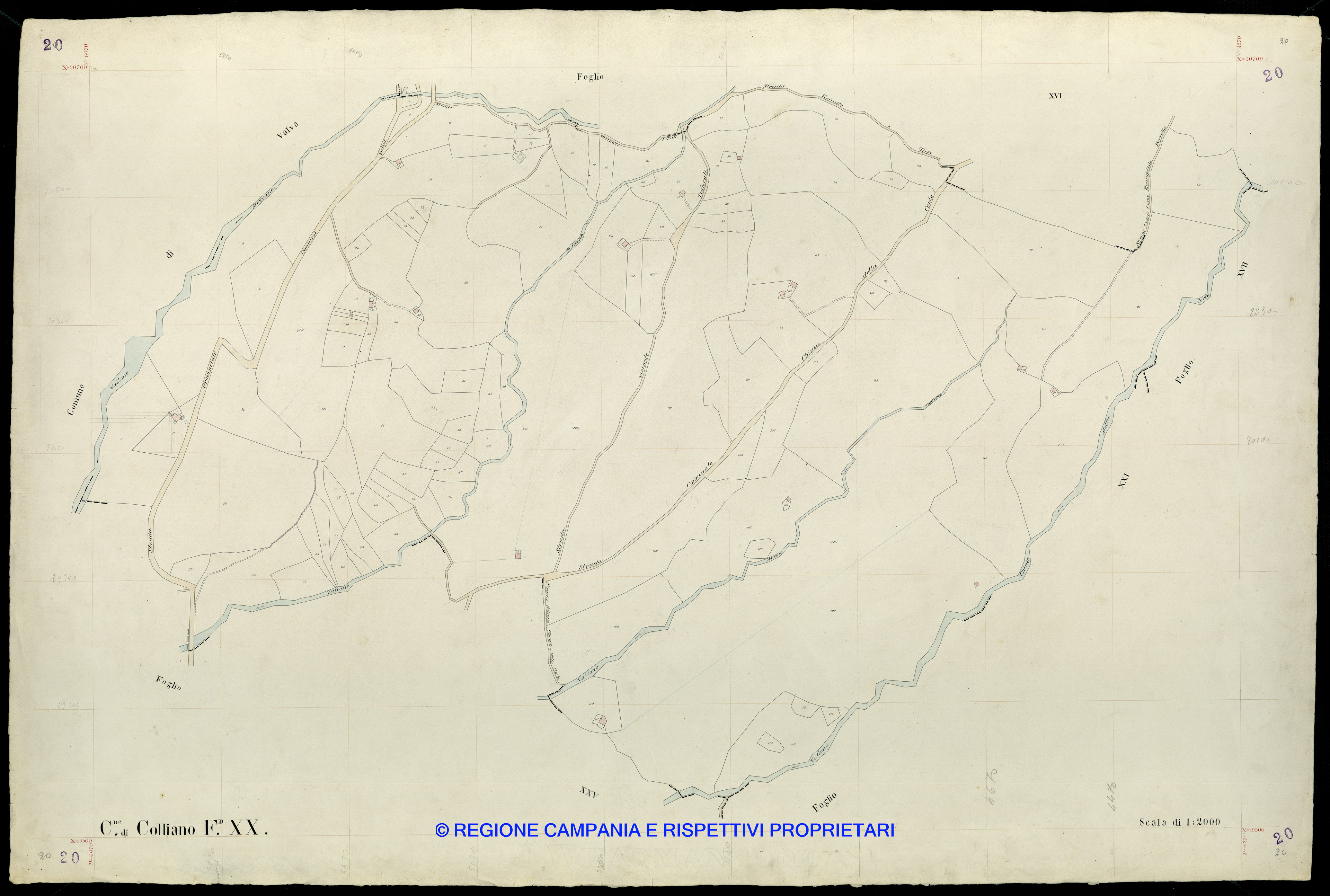 Mappa