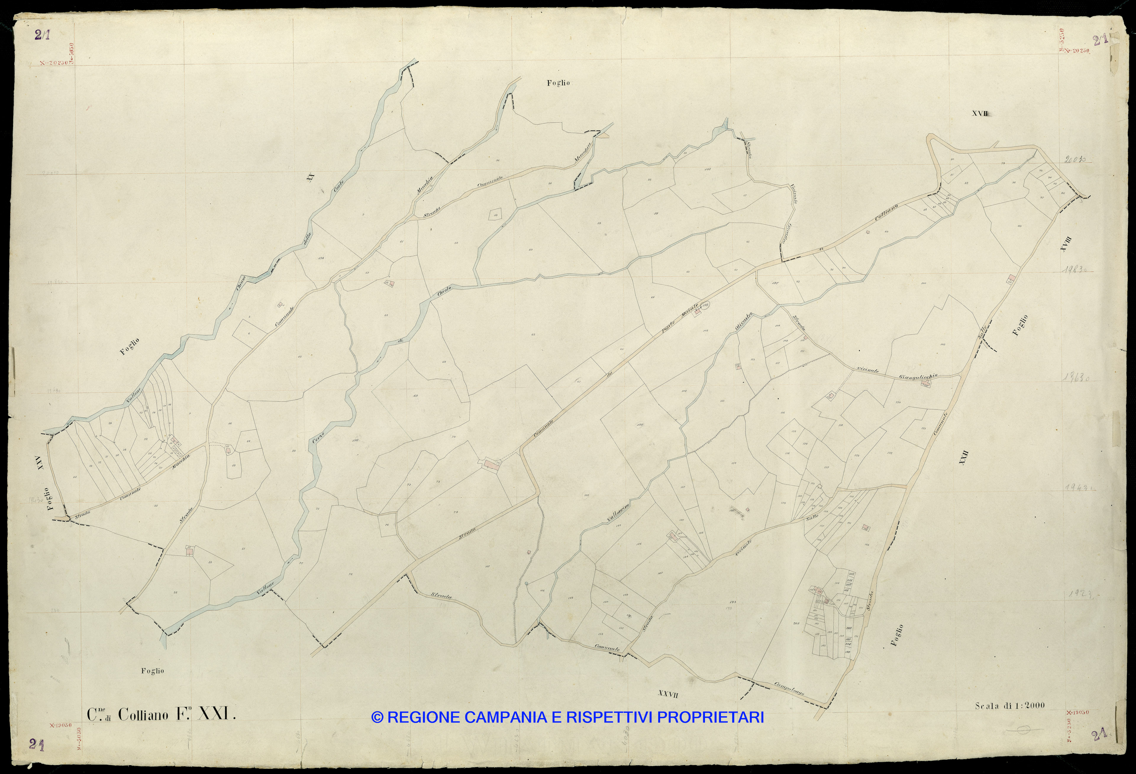 Mappa