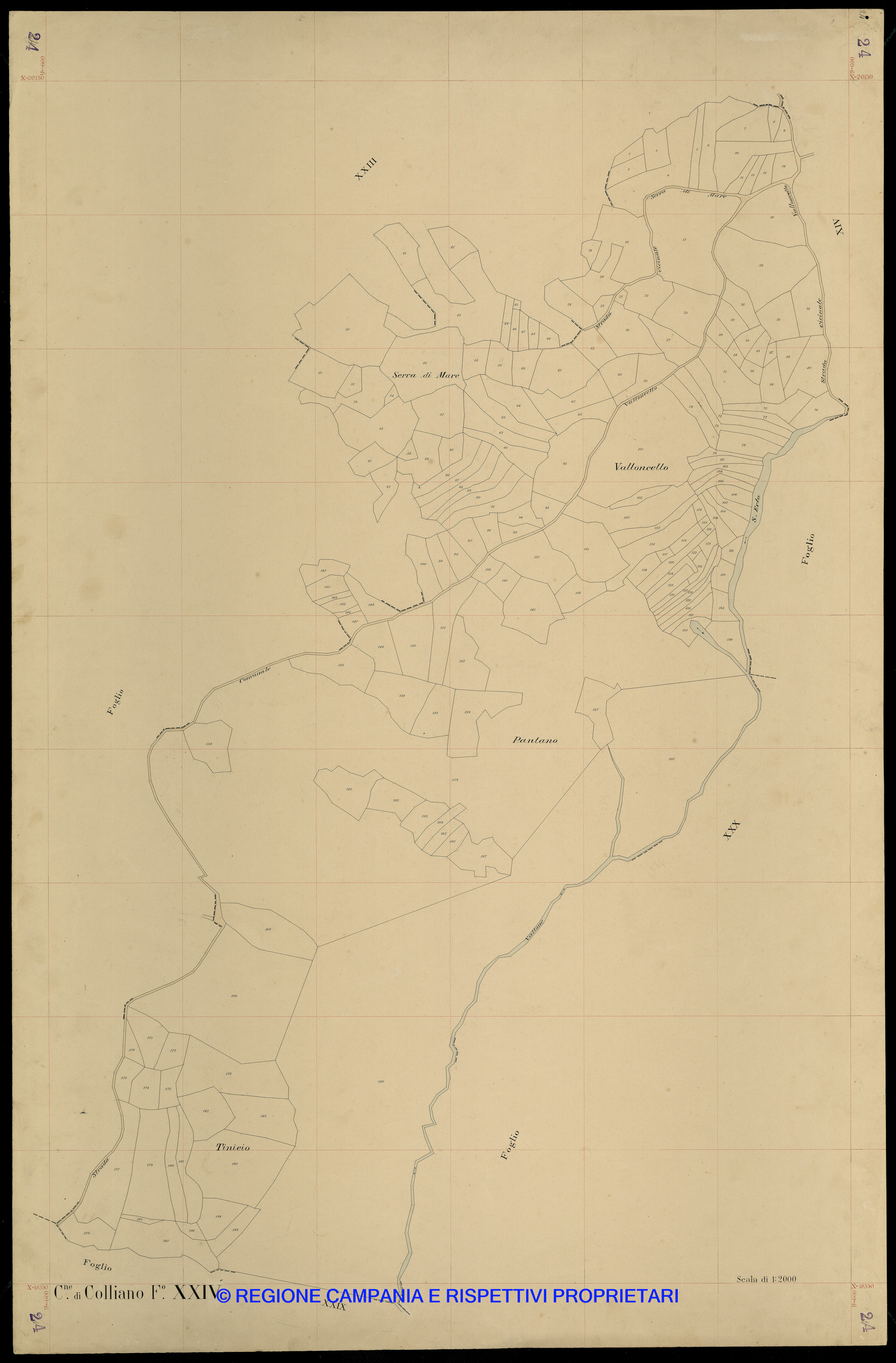 Mappa