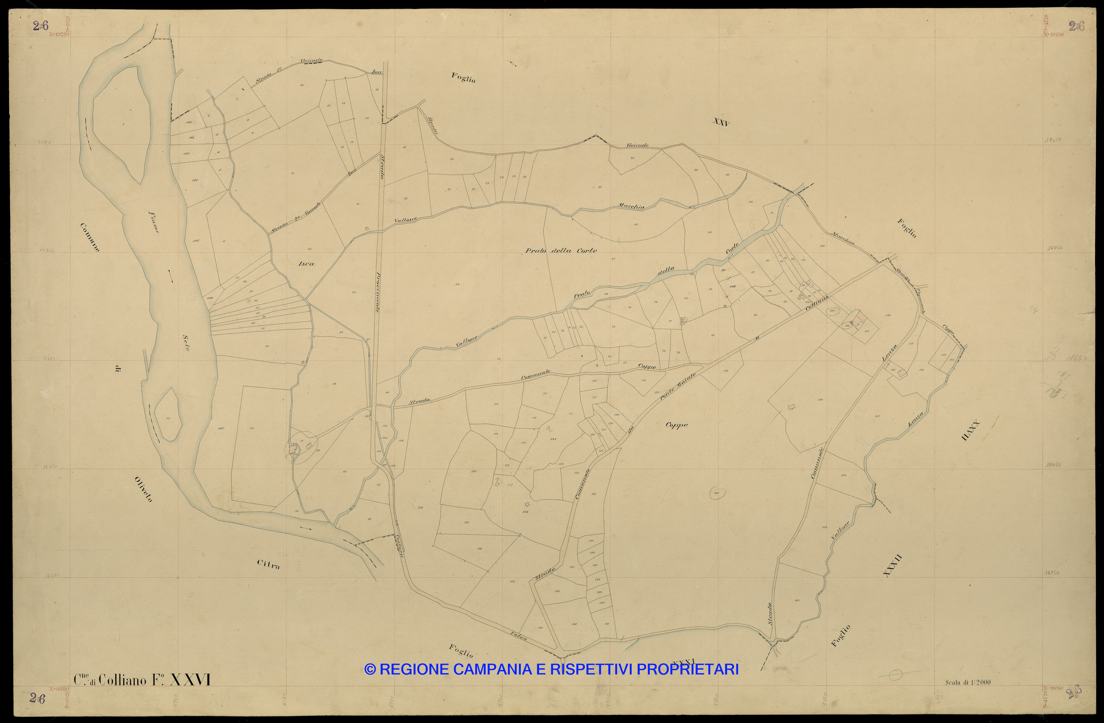 Mappa