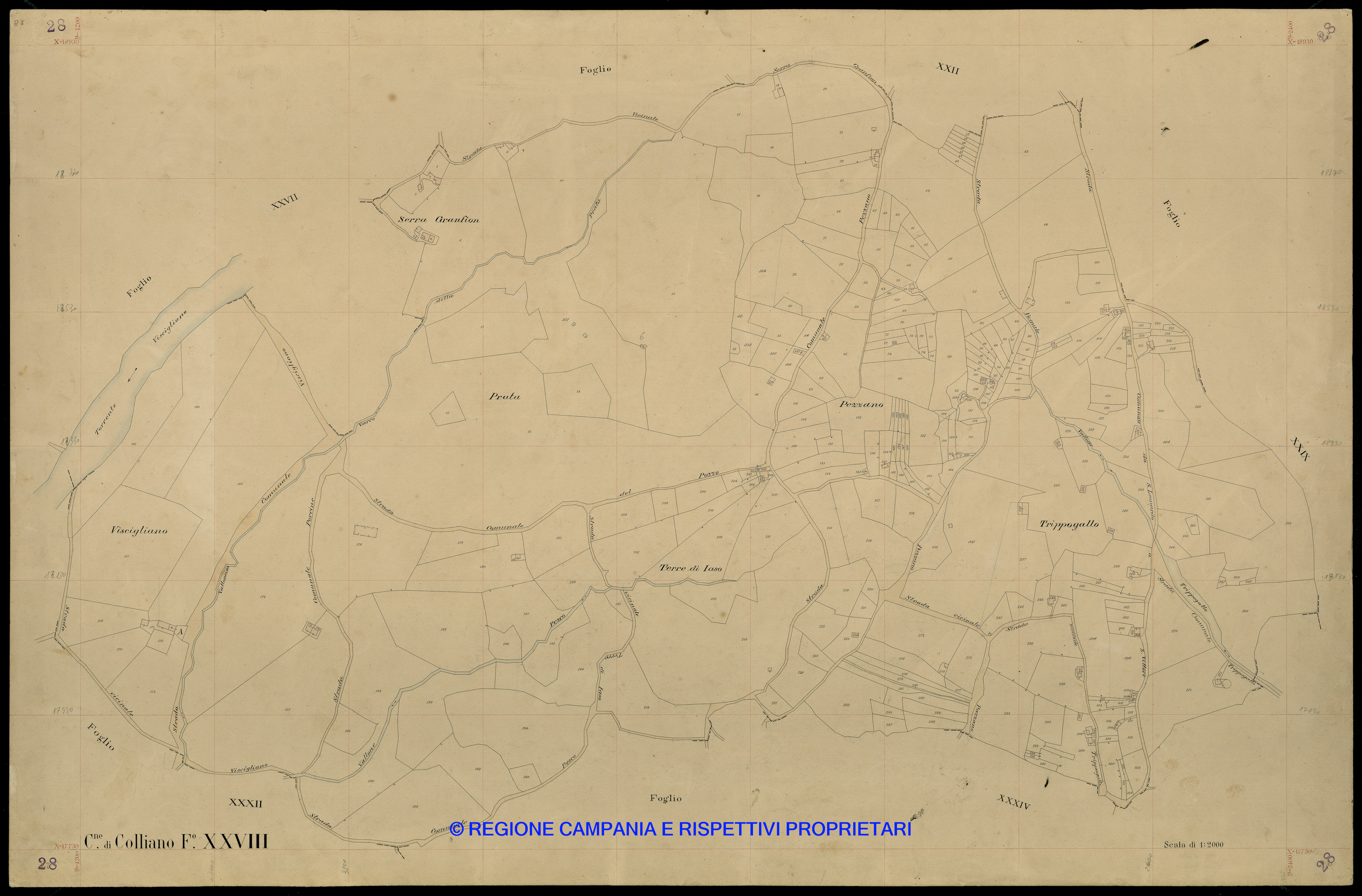 Mappa