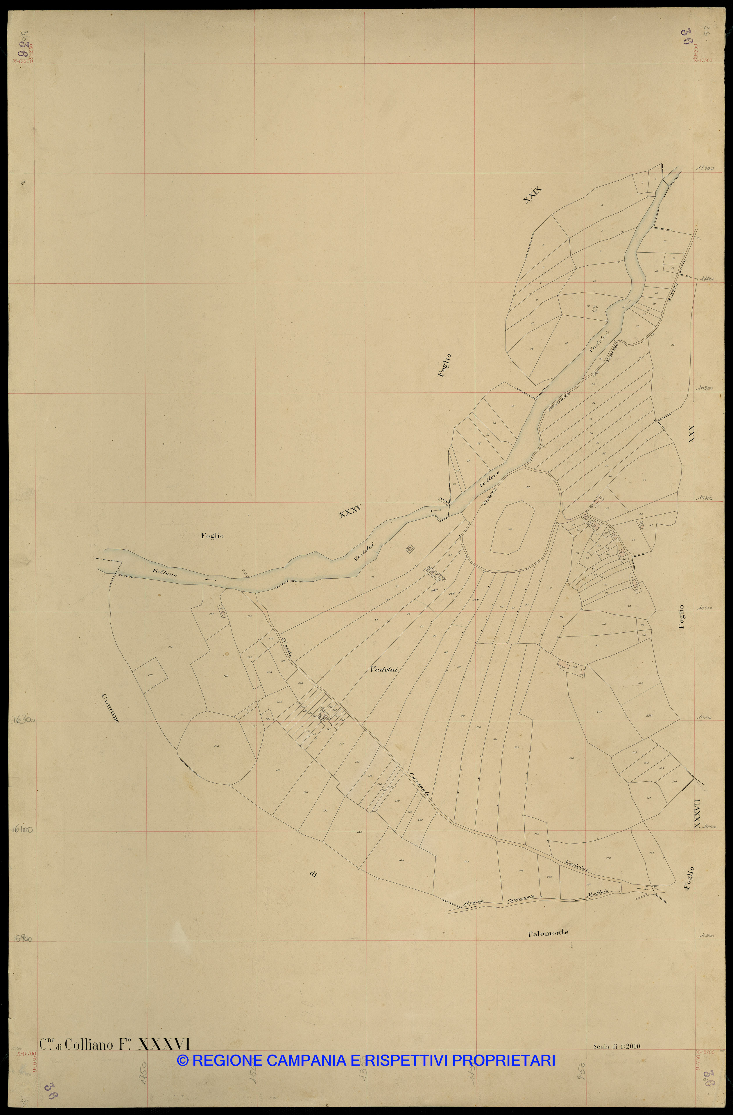 Mappa