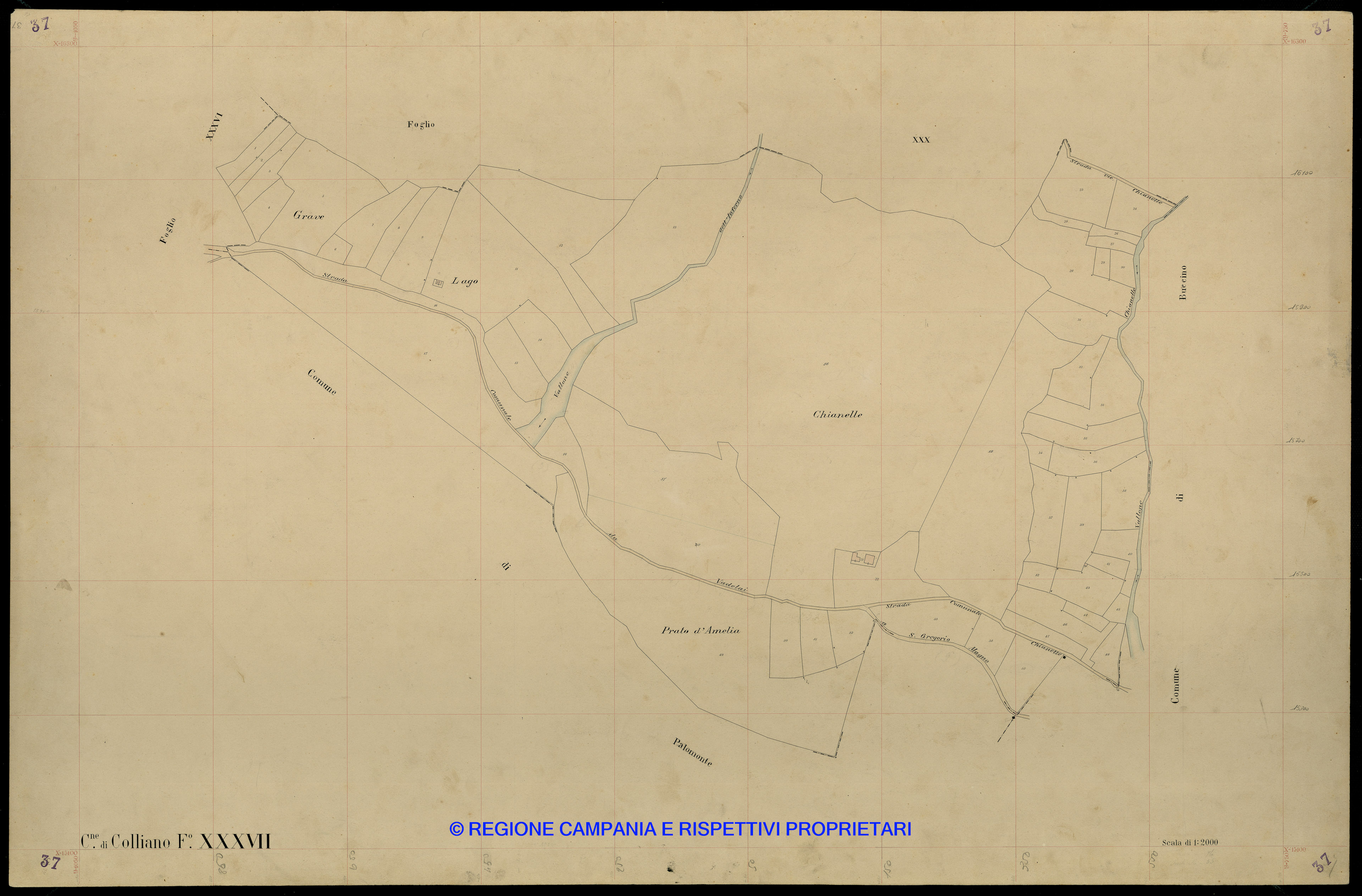 Mappa