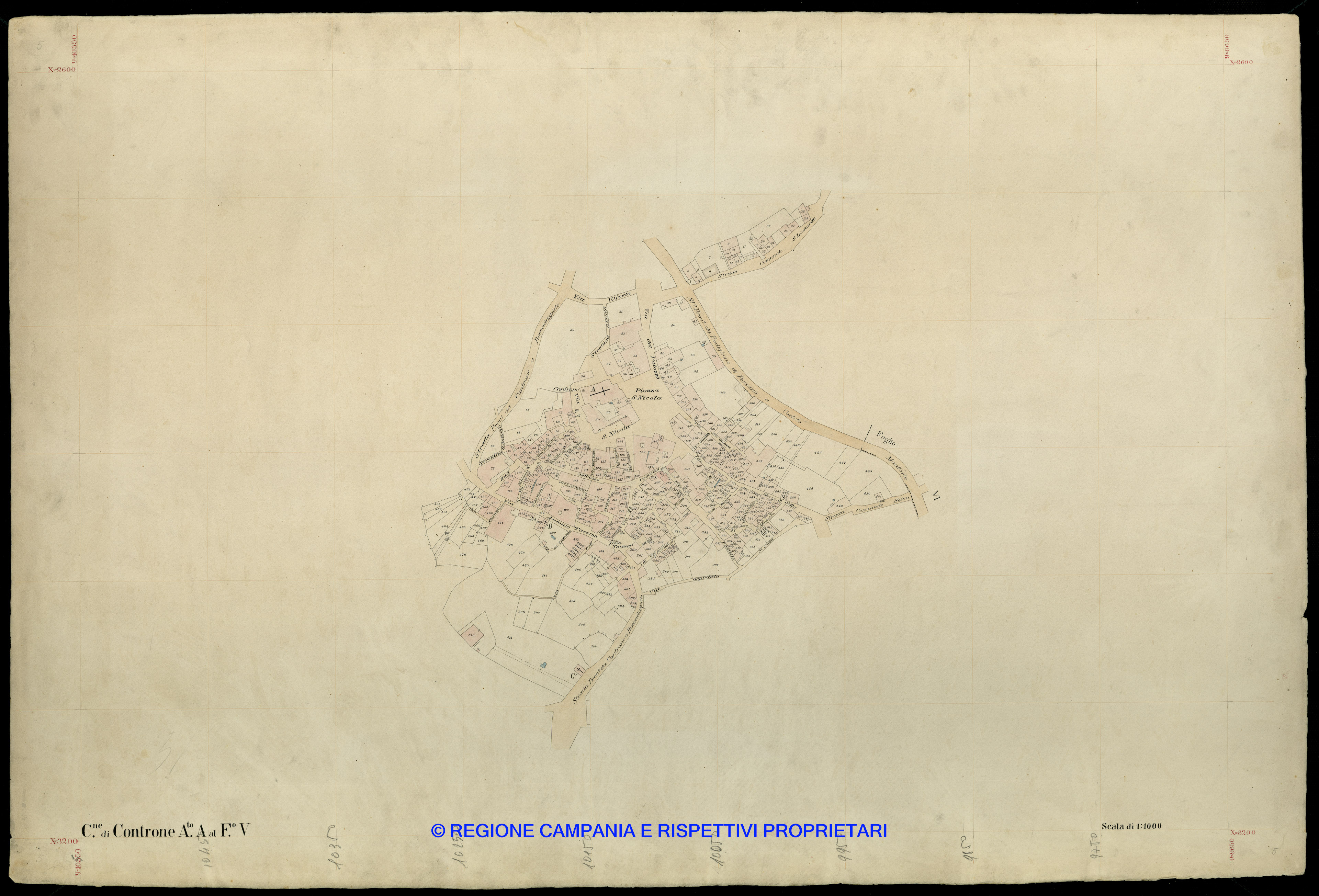 Grafico delle Poligonali