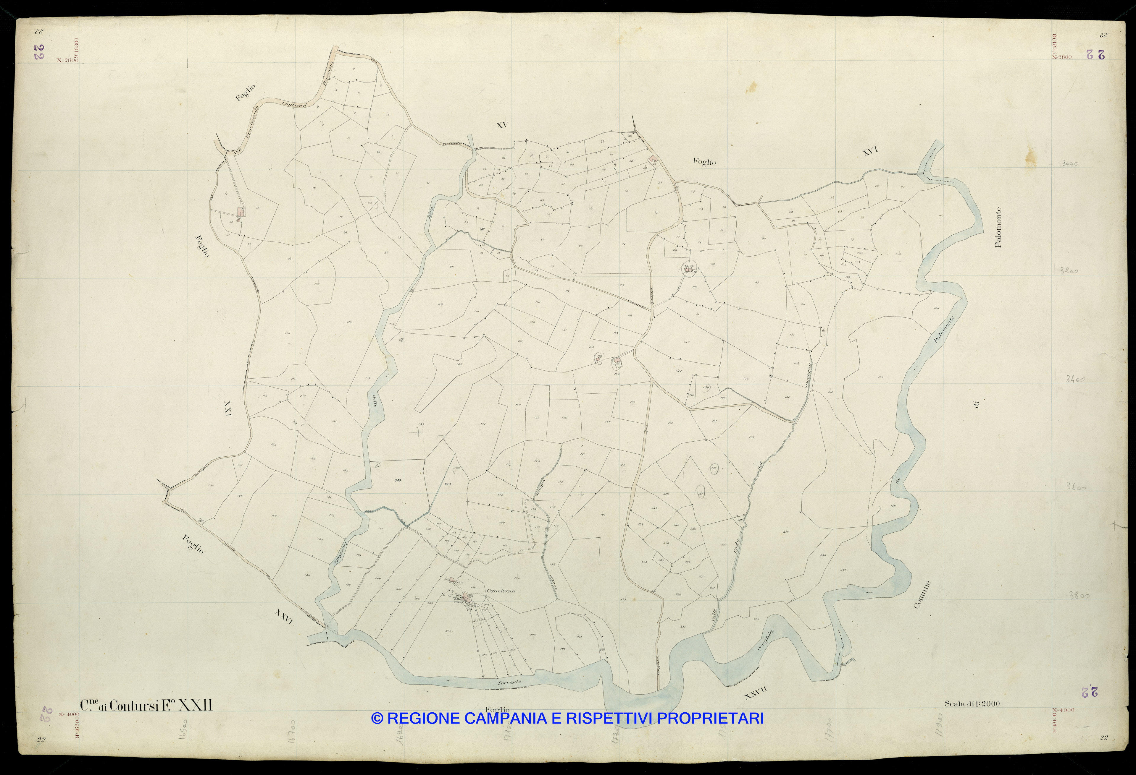 Mappa
