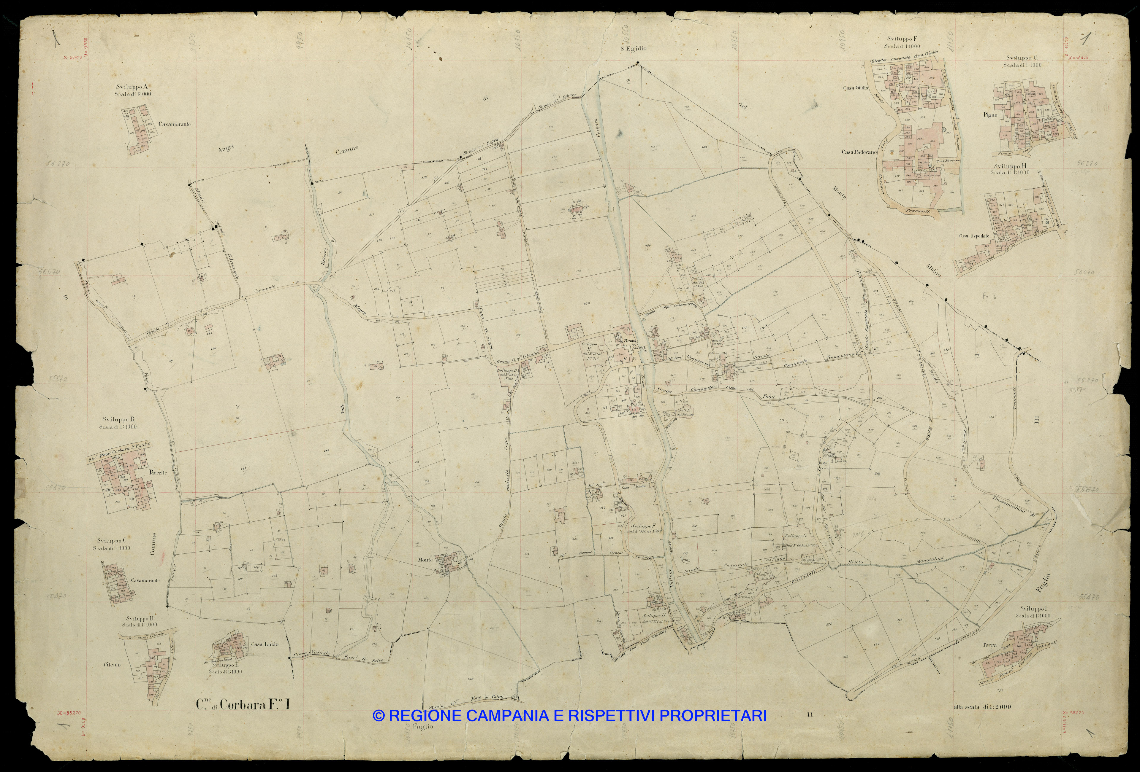 Mappa