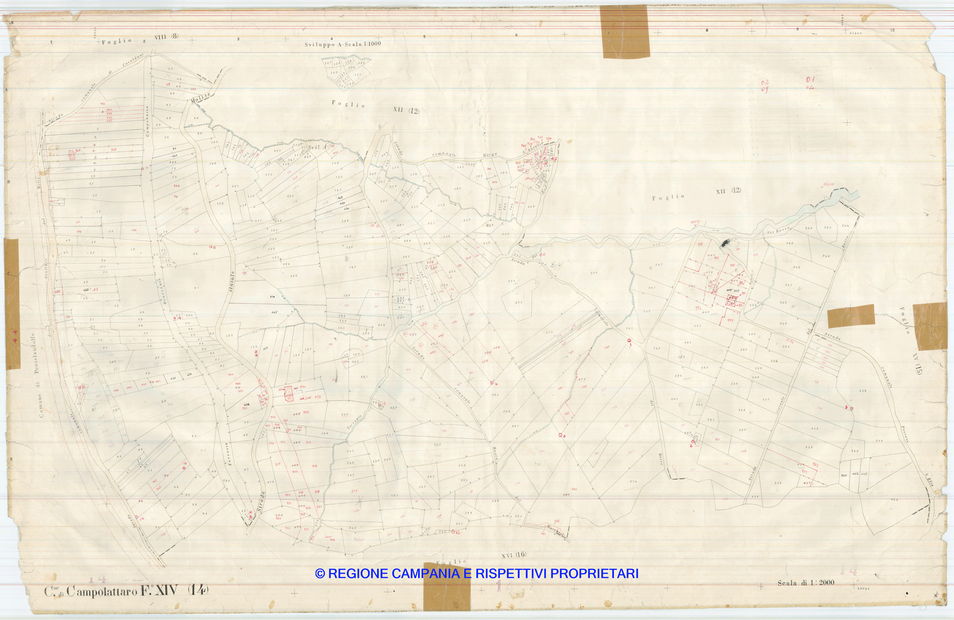Mappa