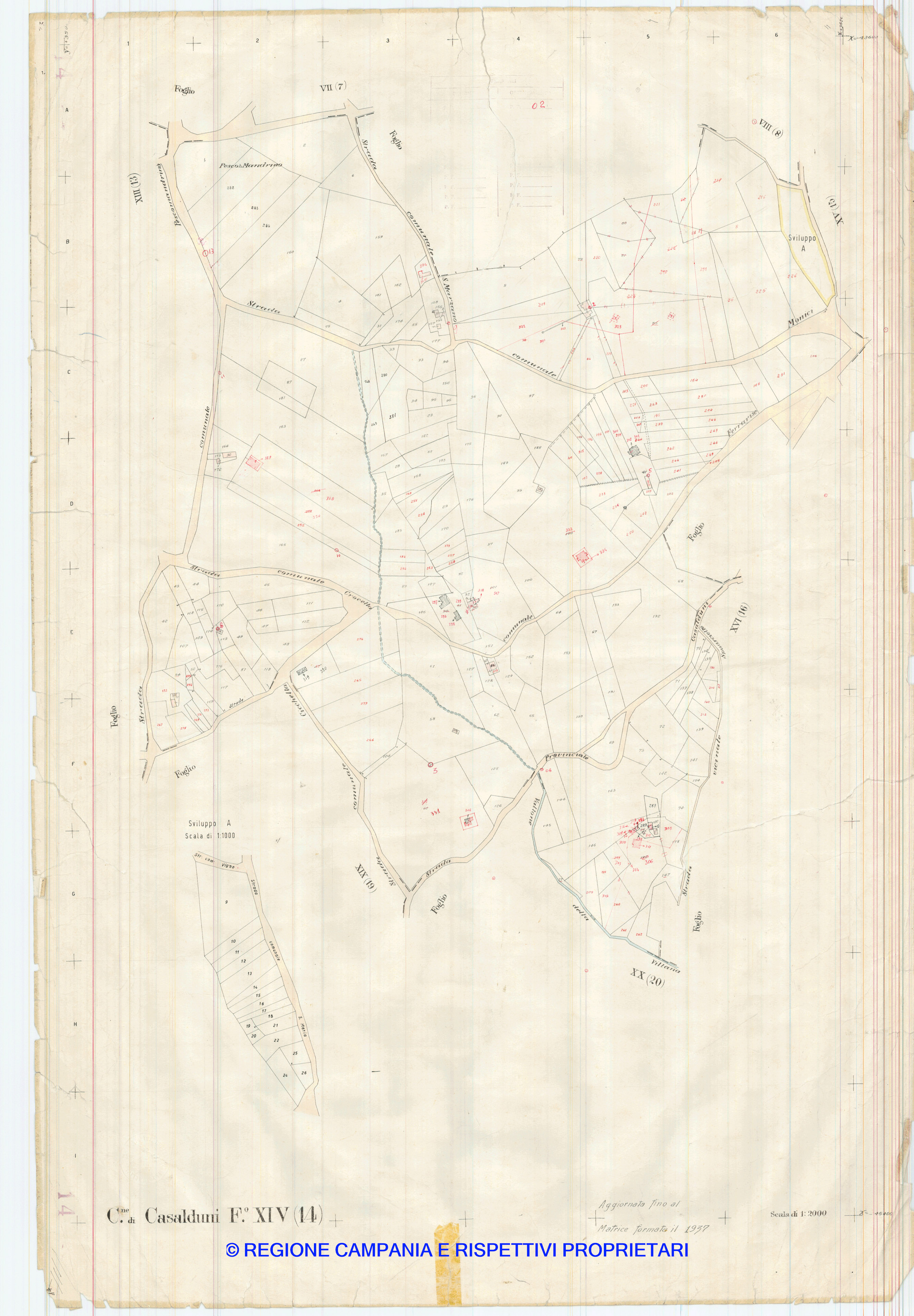 Mappa