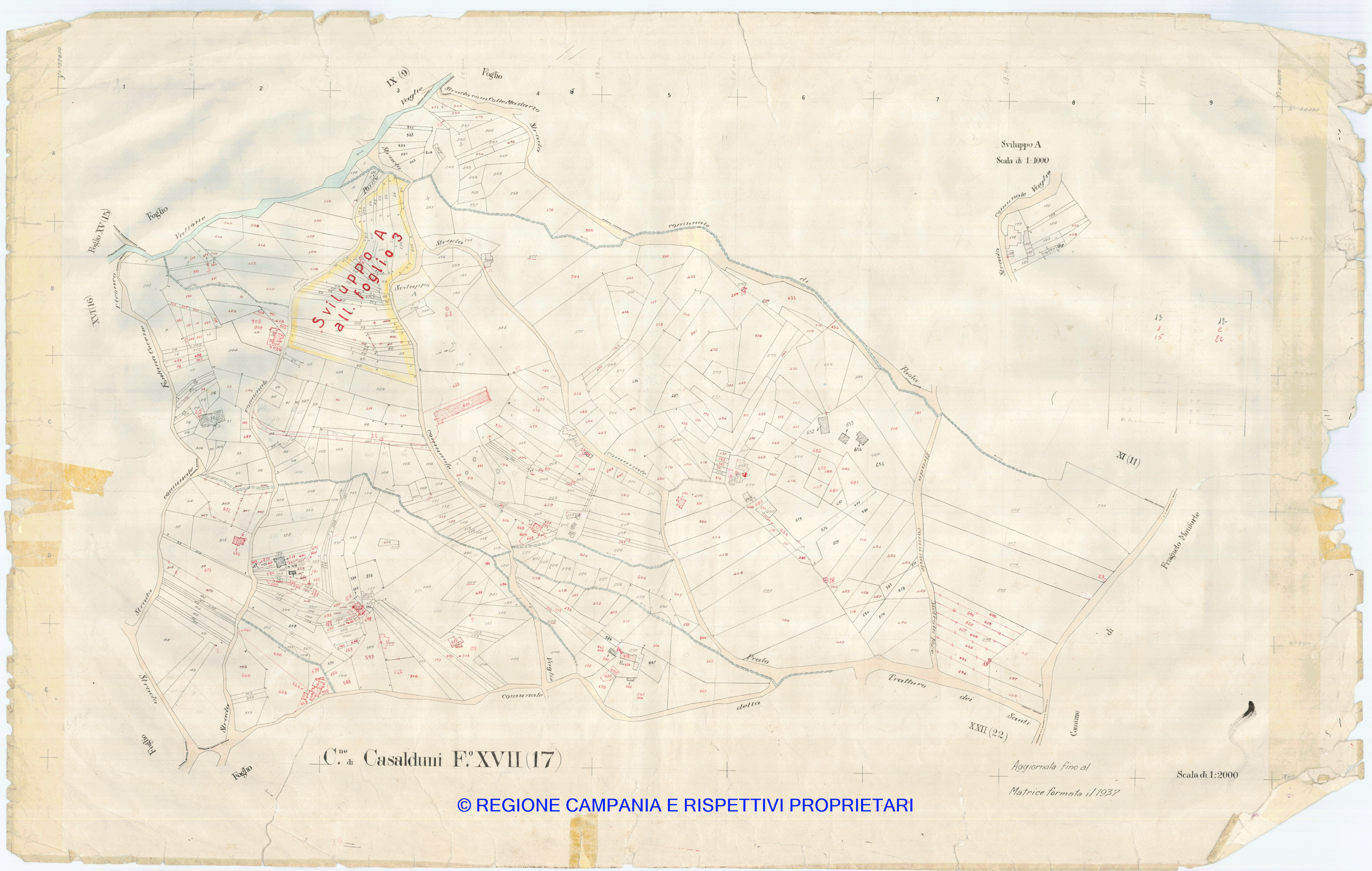 Mappa
