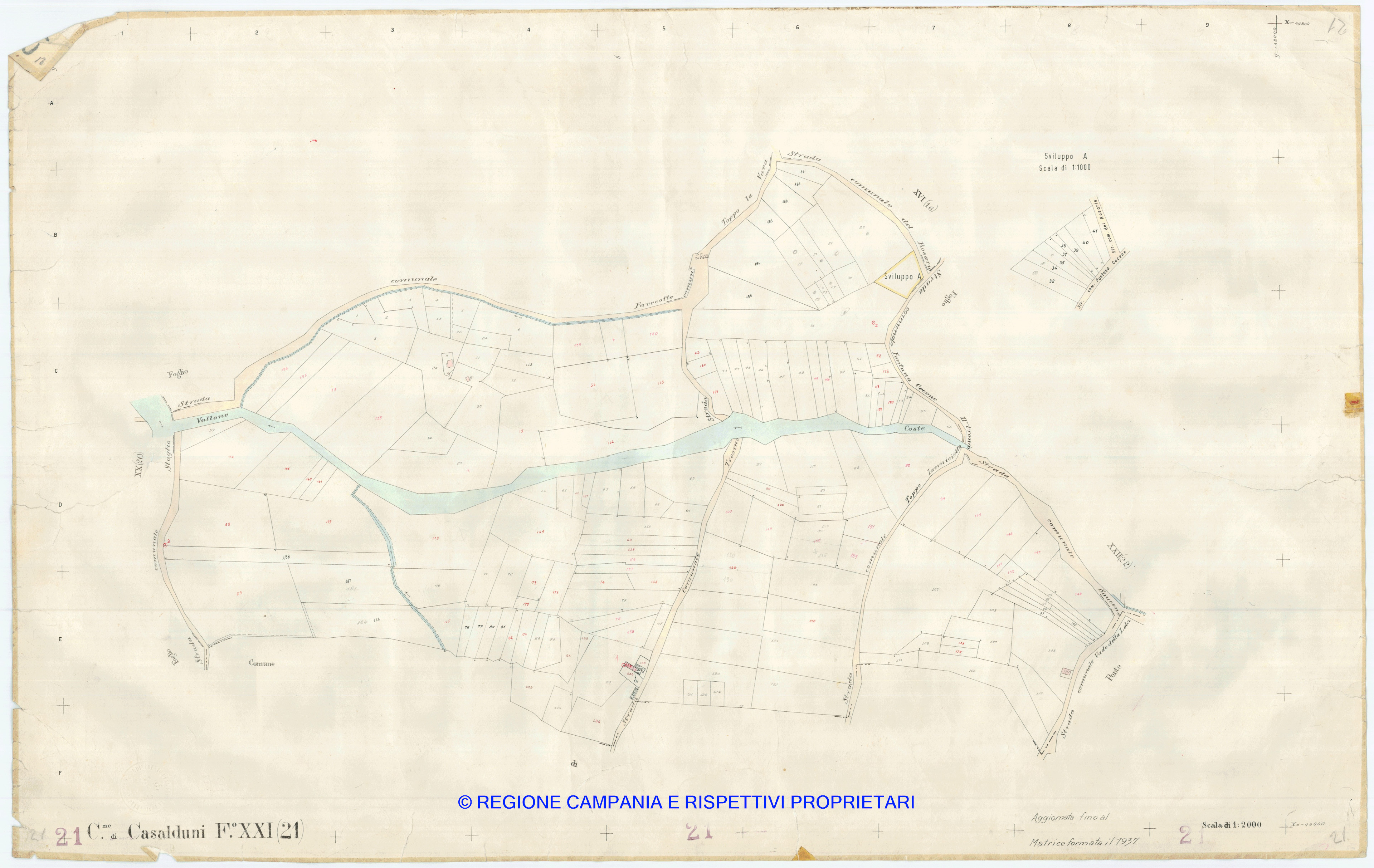 Mappa