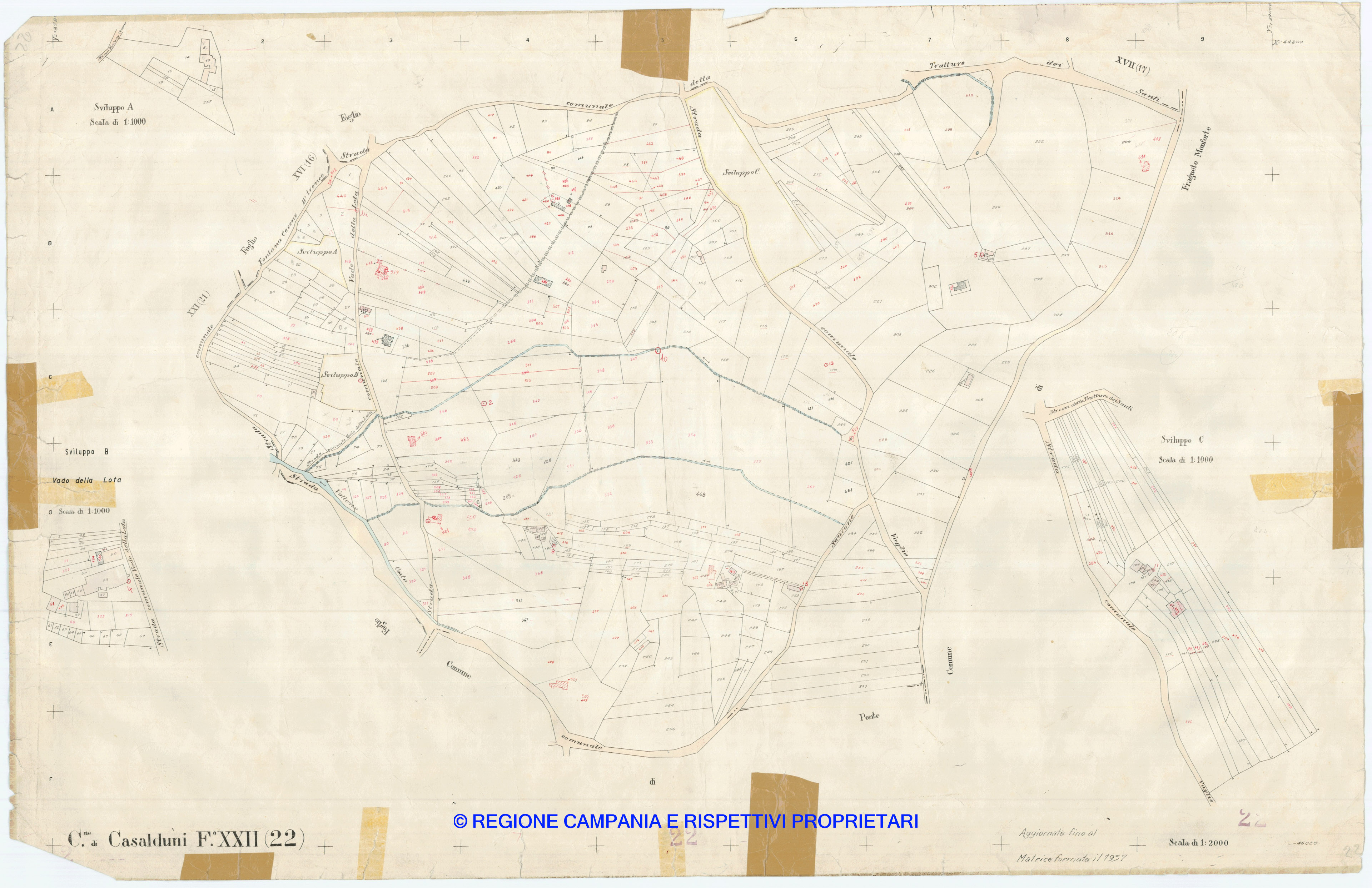 Mappa