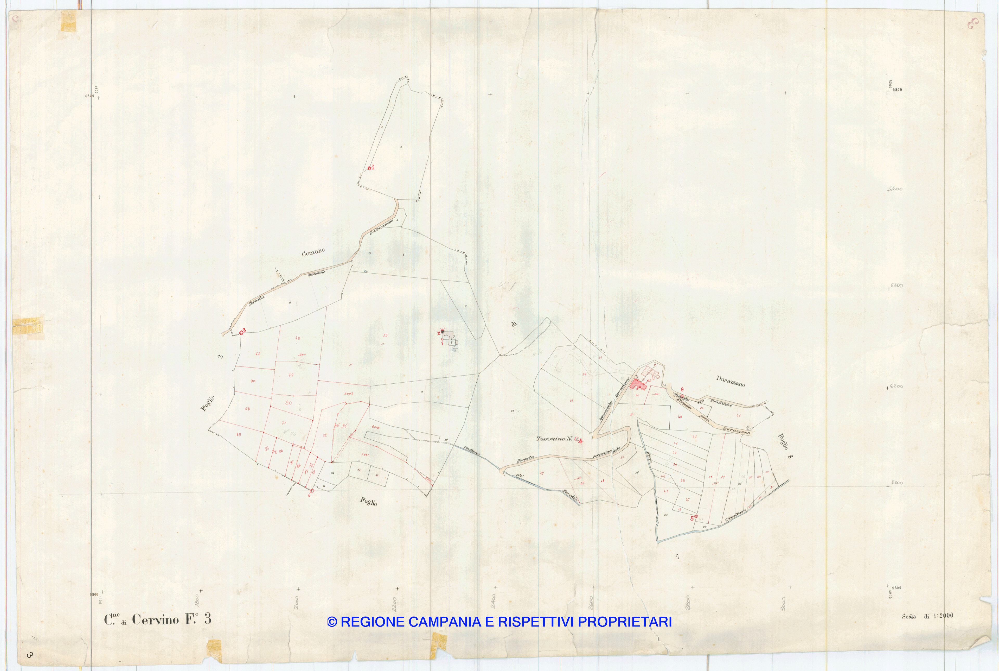 Mappa